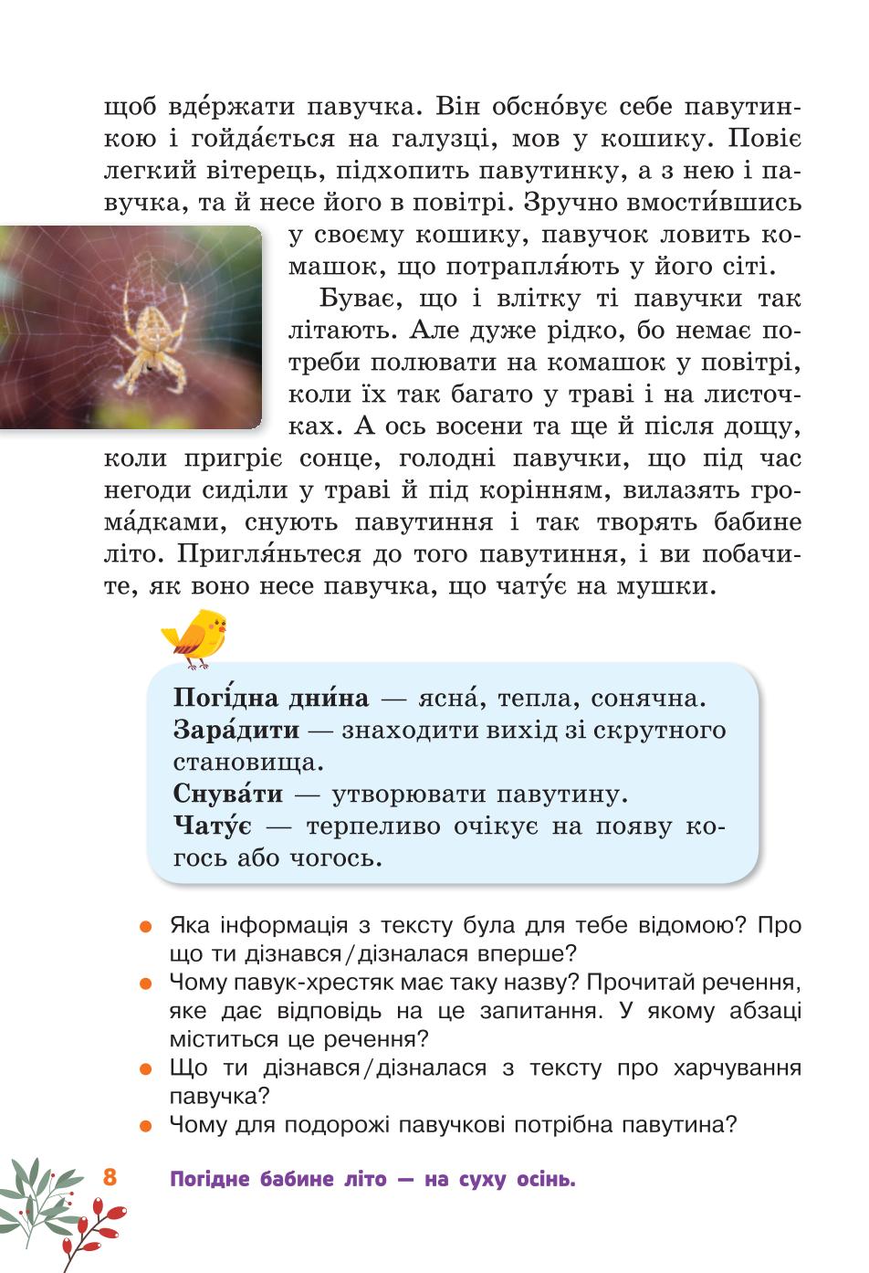 Мініатюра 8