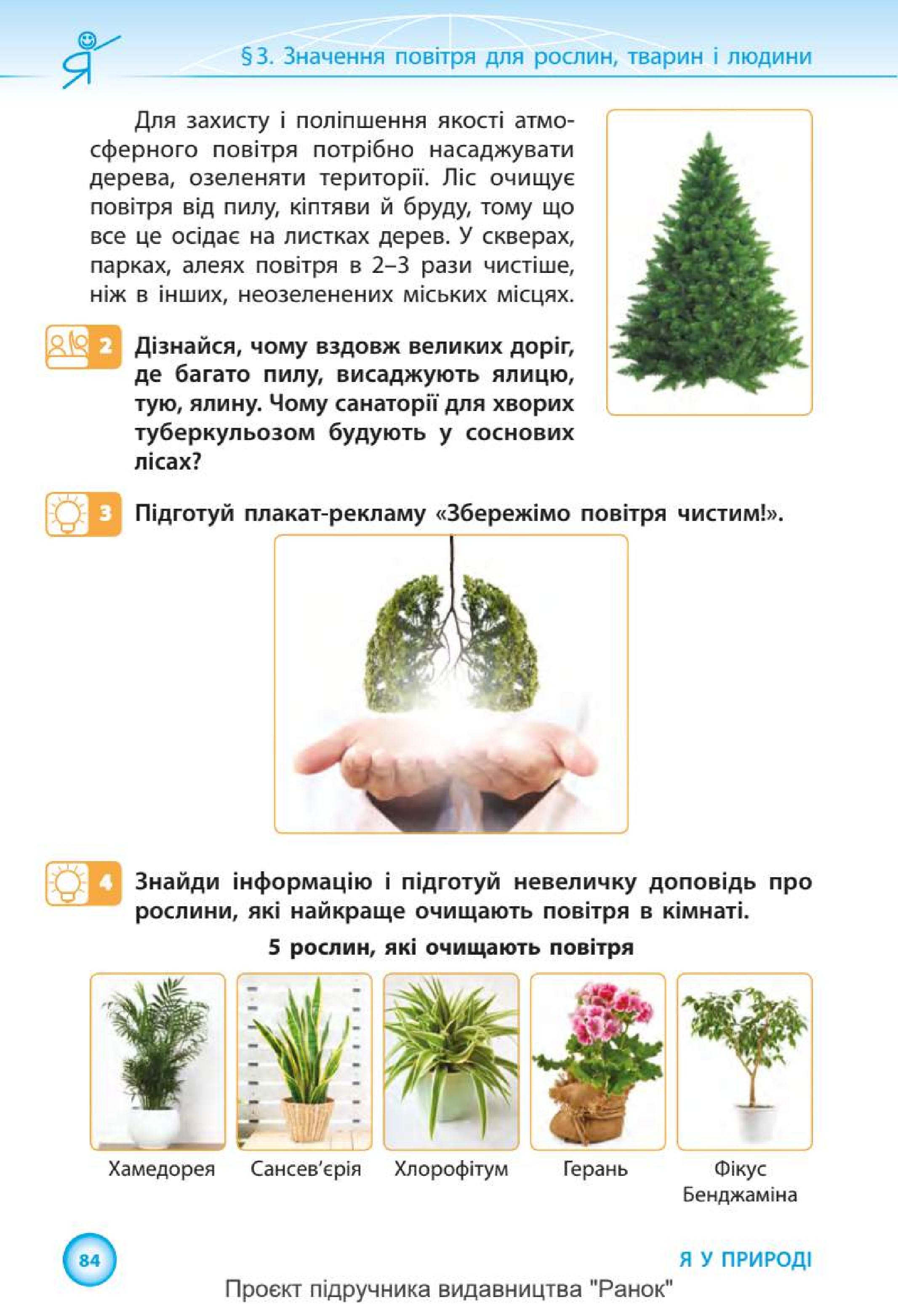 Мініатюра 84