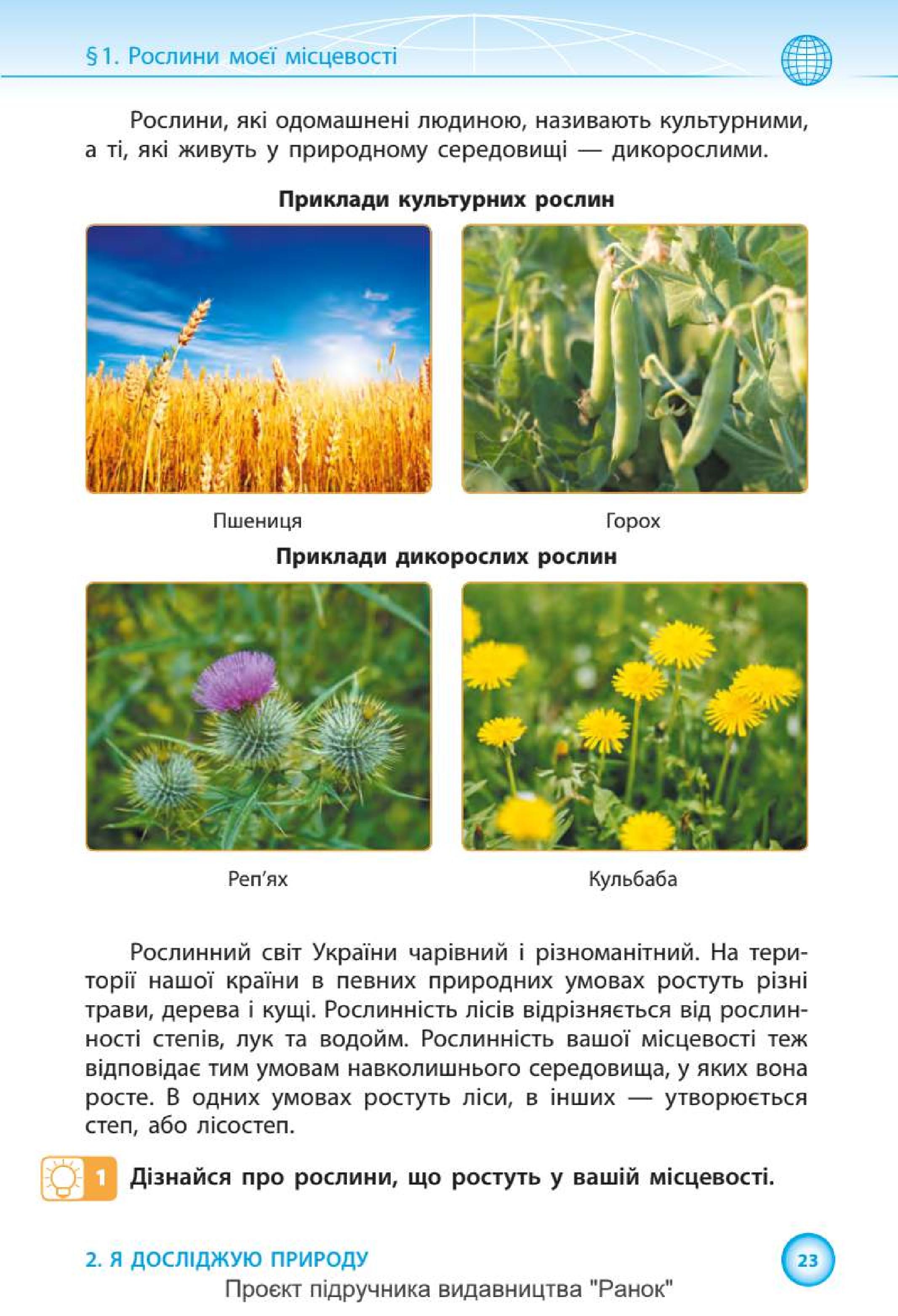 Мініатюра 23