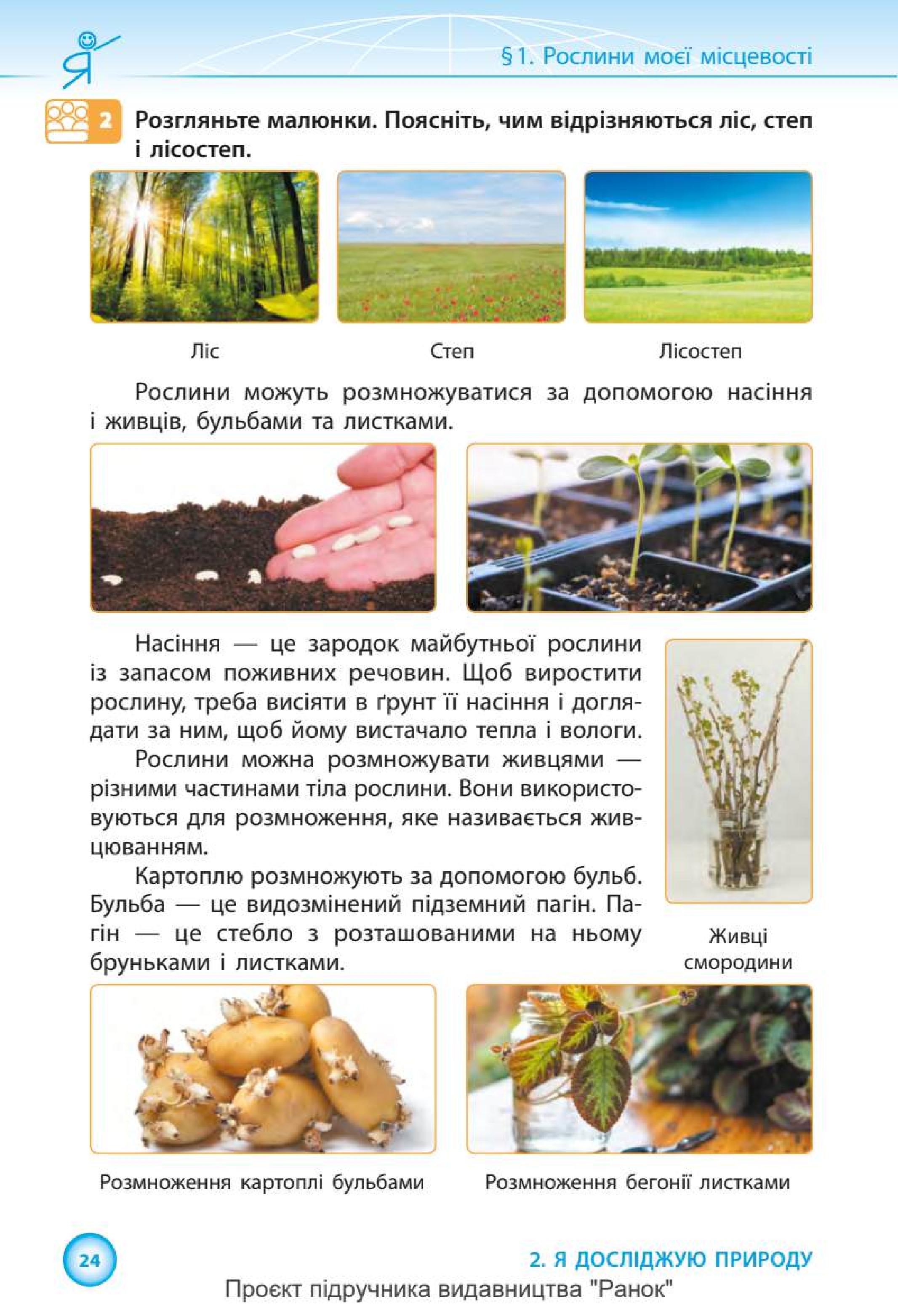 Мініатюра 24