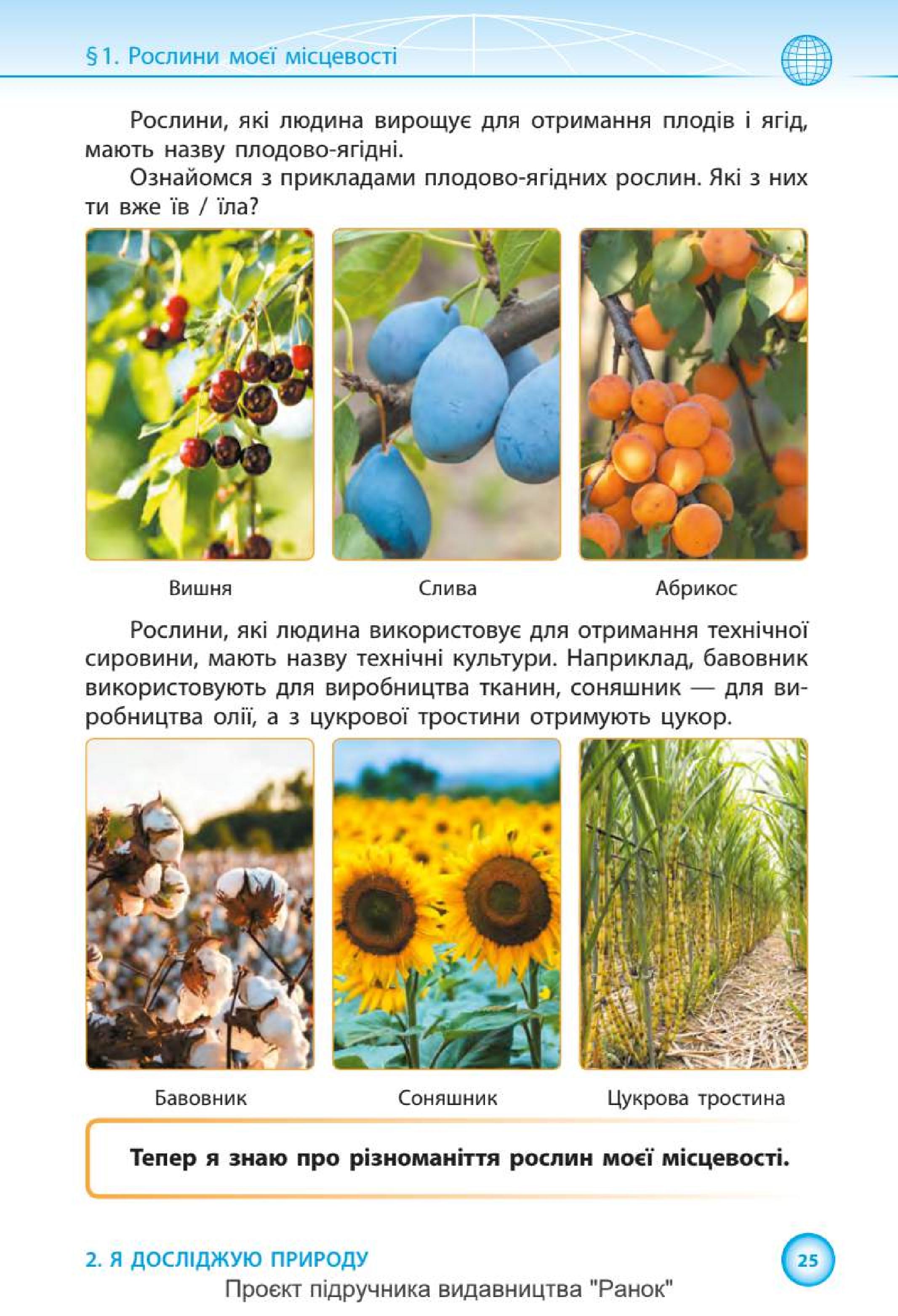 Мініатюра 25