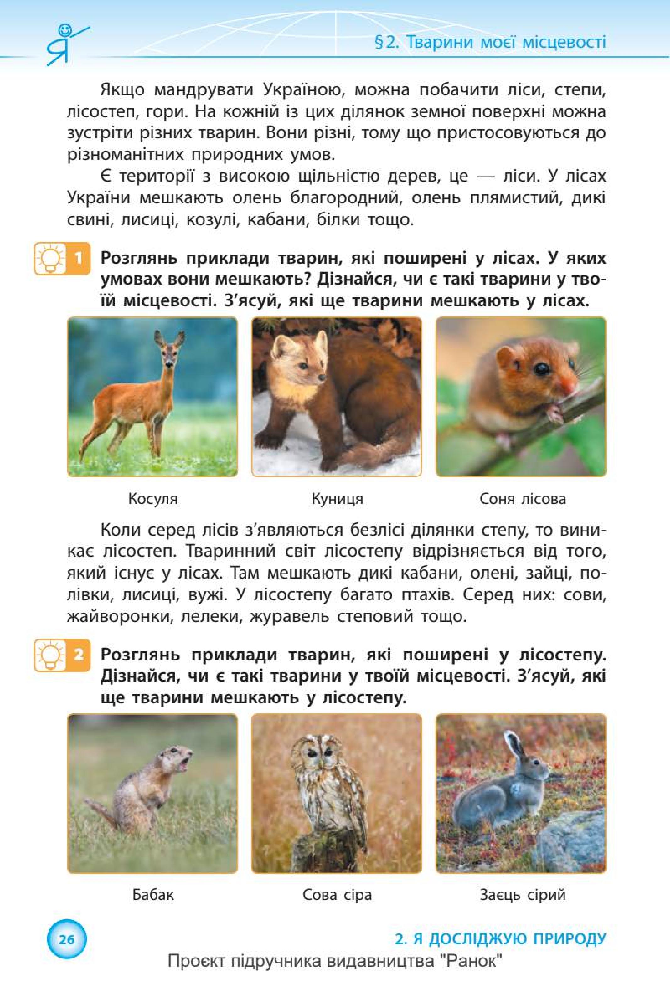 Мініатюра 26