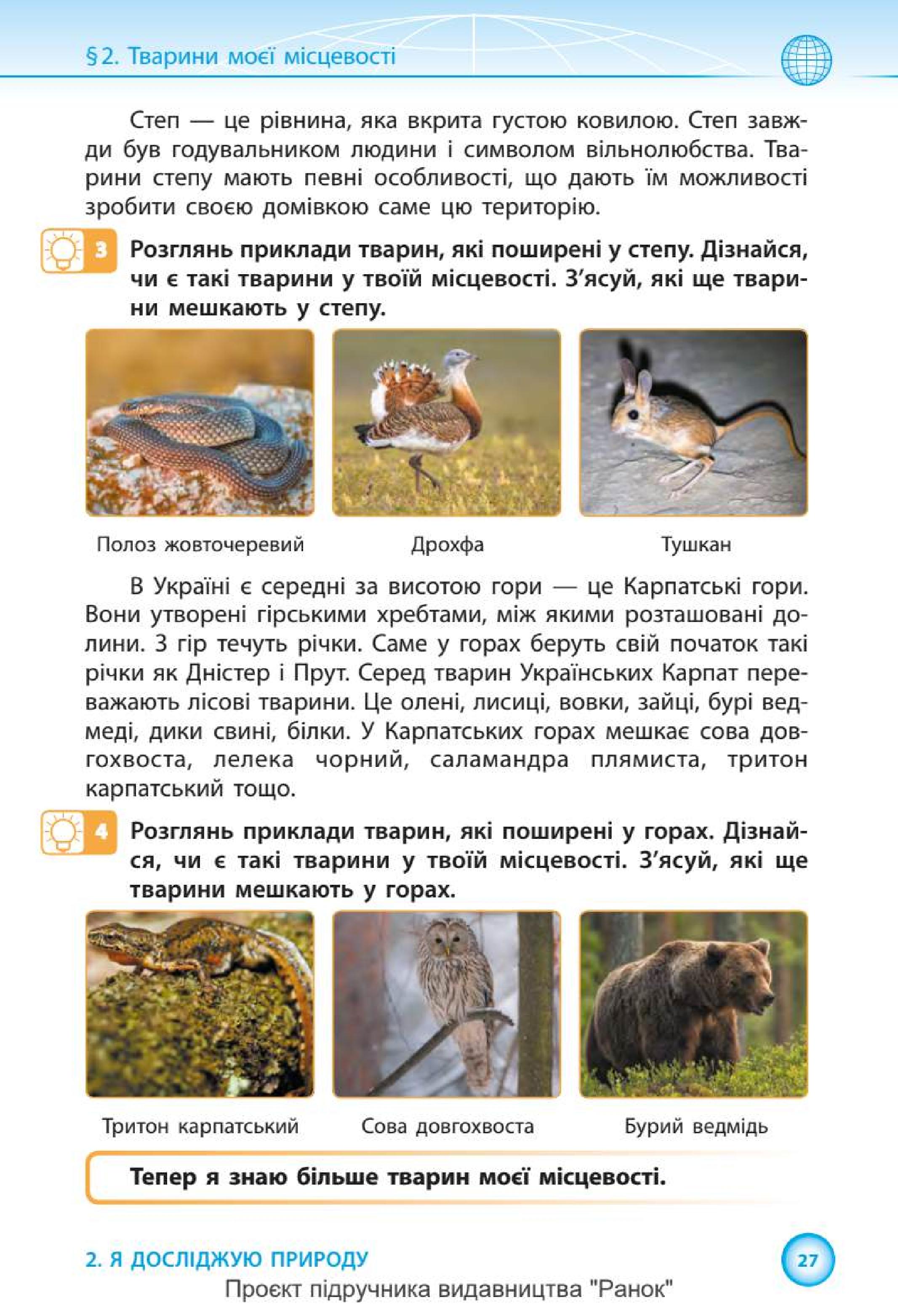 Мініатюра 27