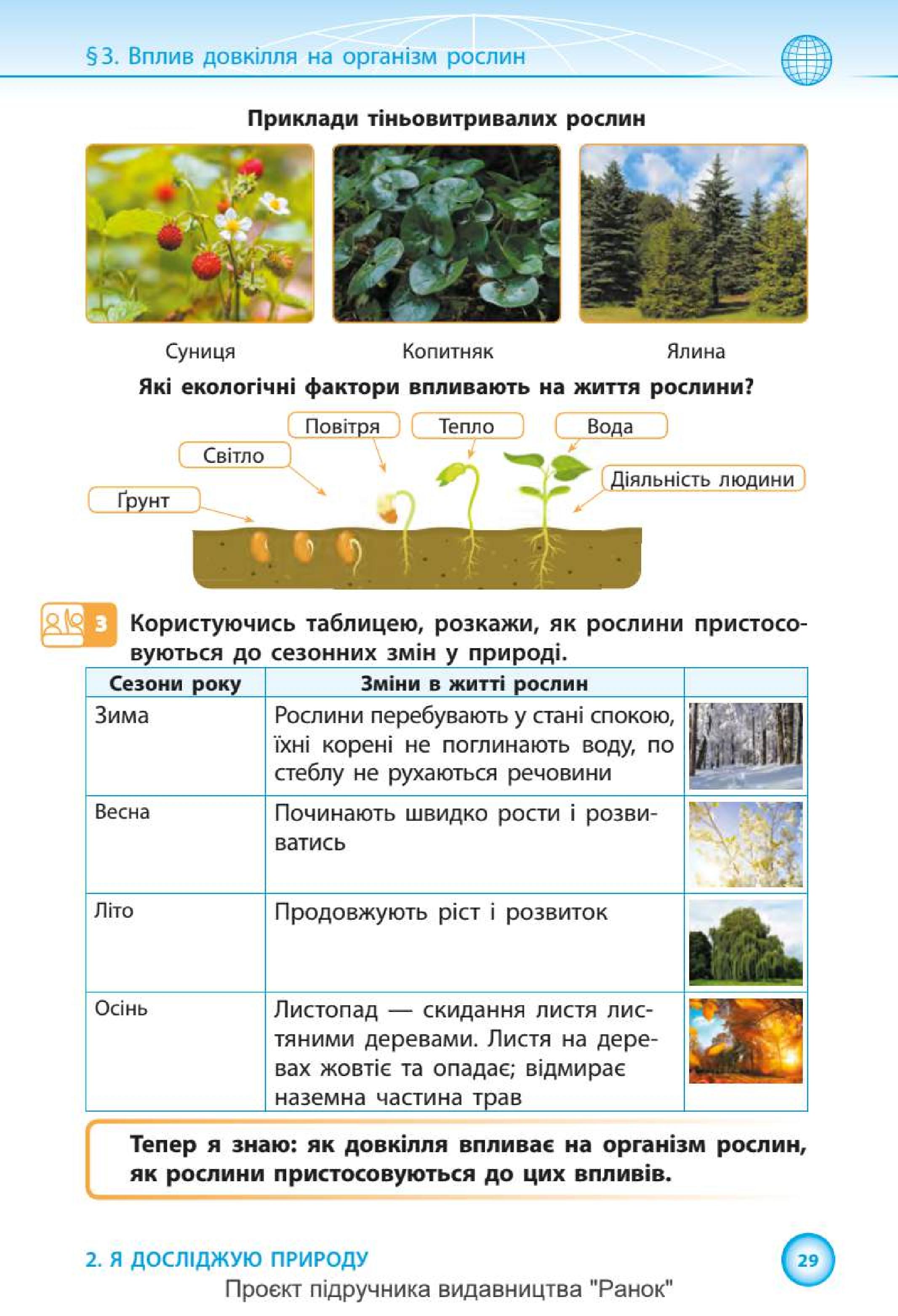Мініатюра 29