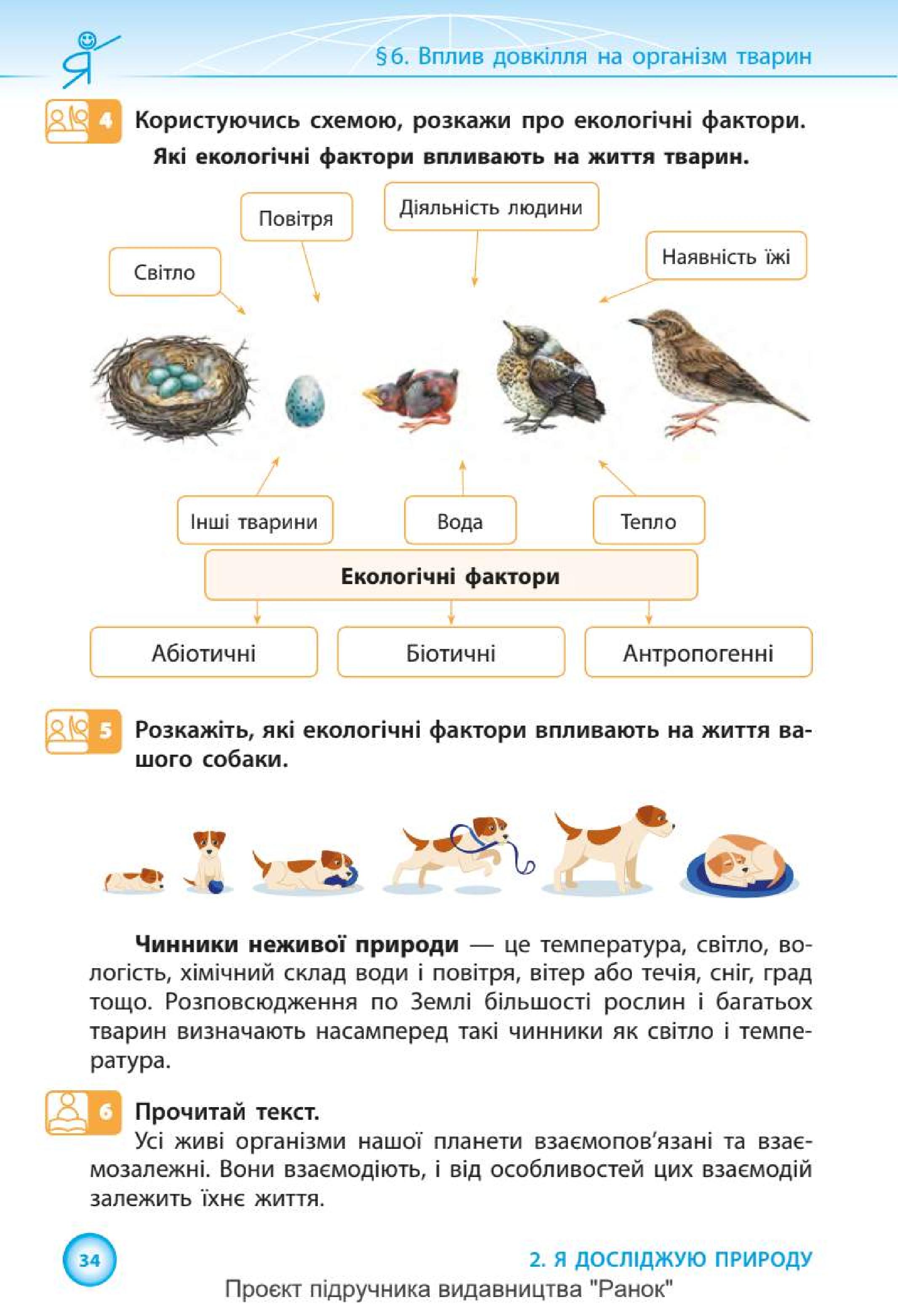 Мініатюра 34