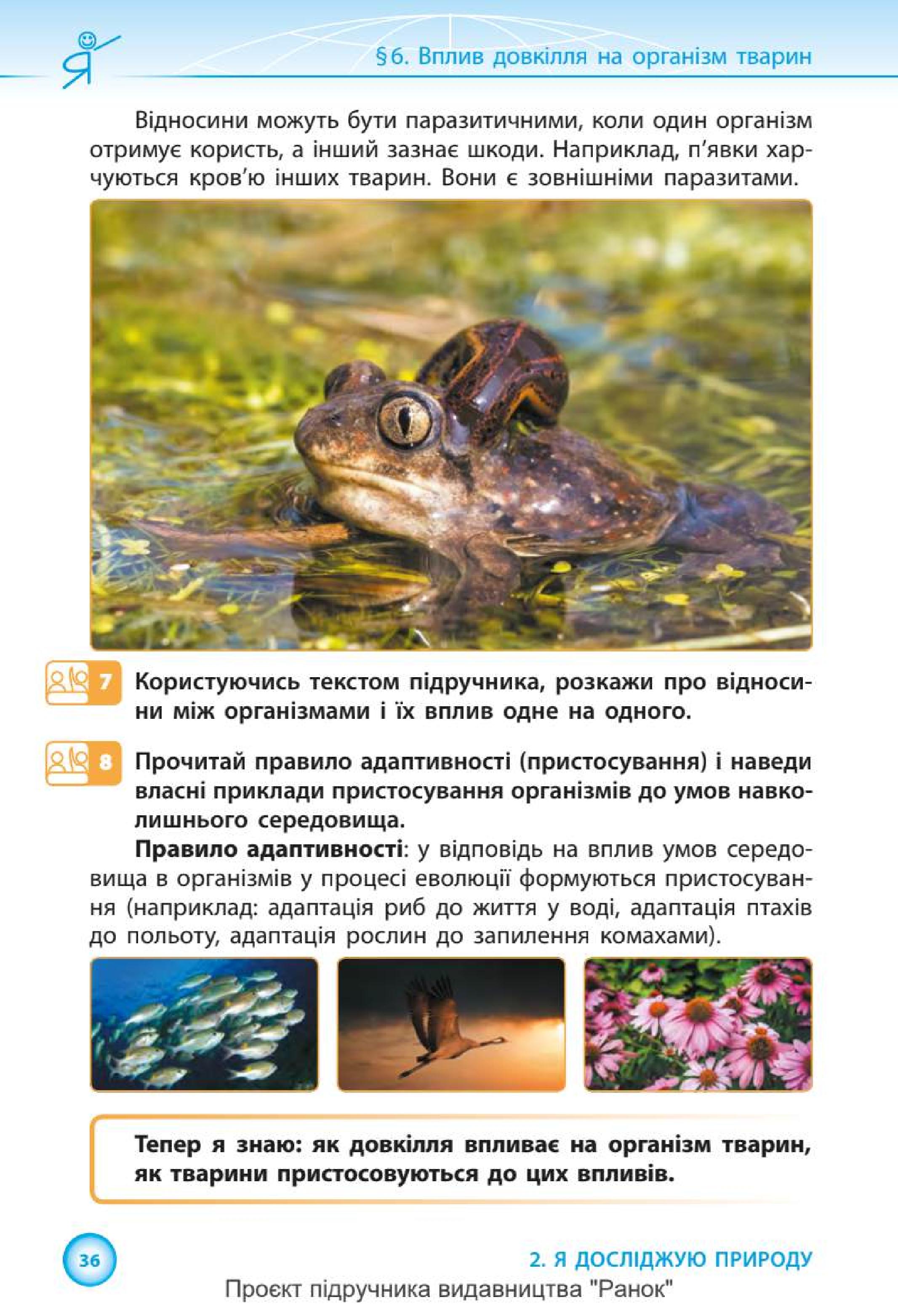 Мініатюра 36