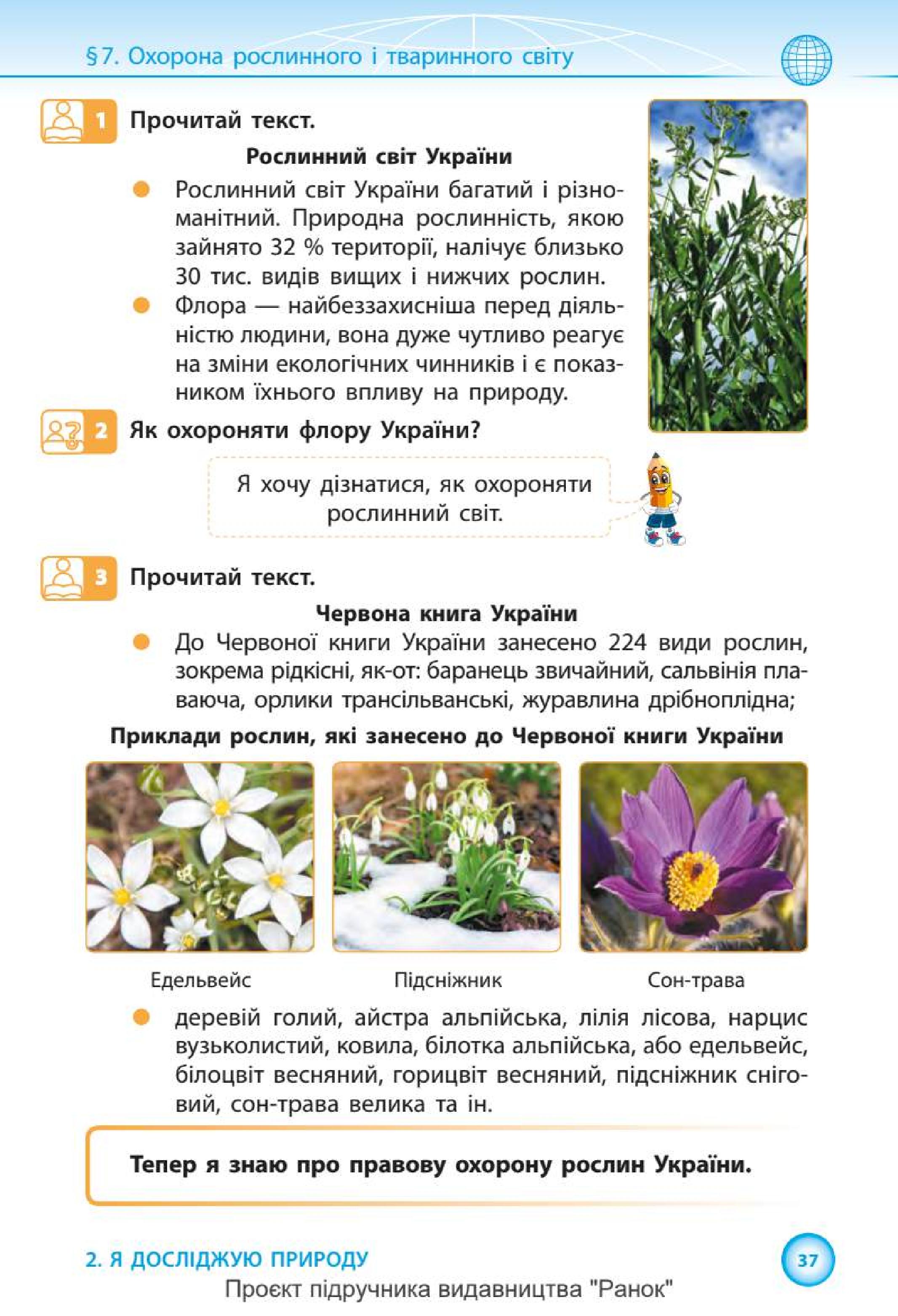 Мініатюра 37