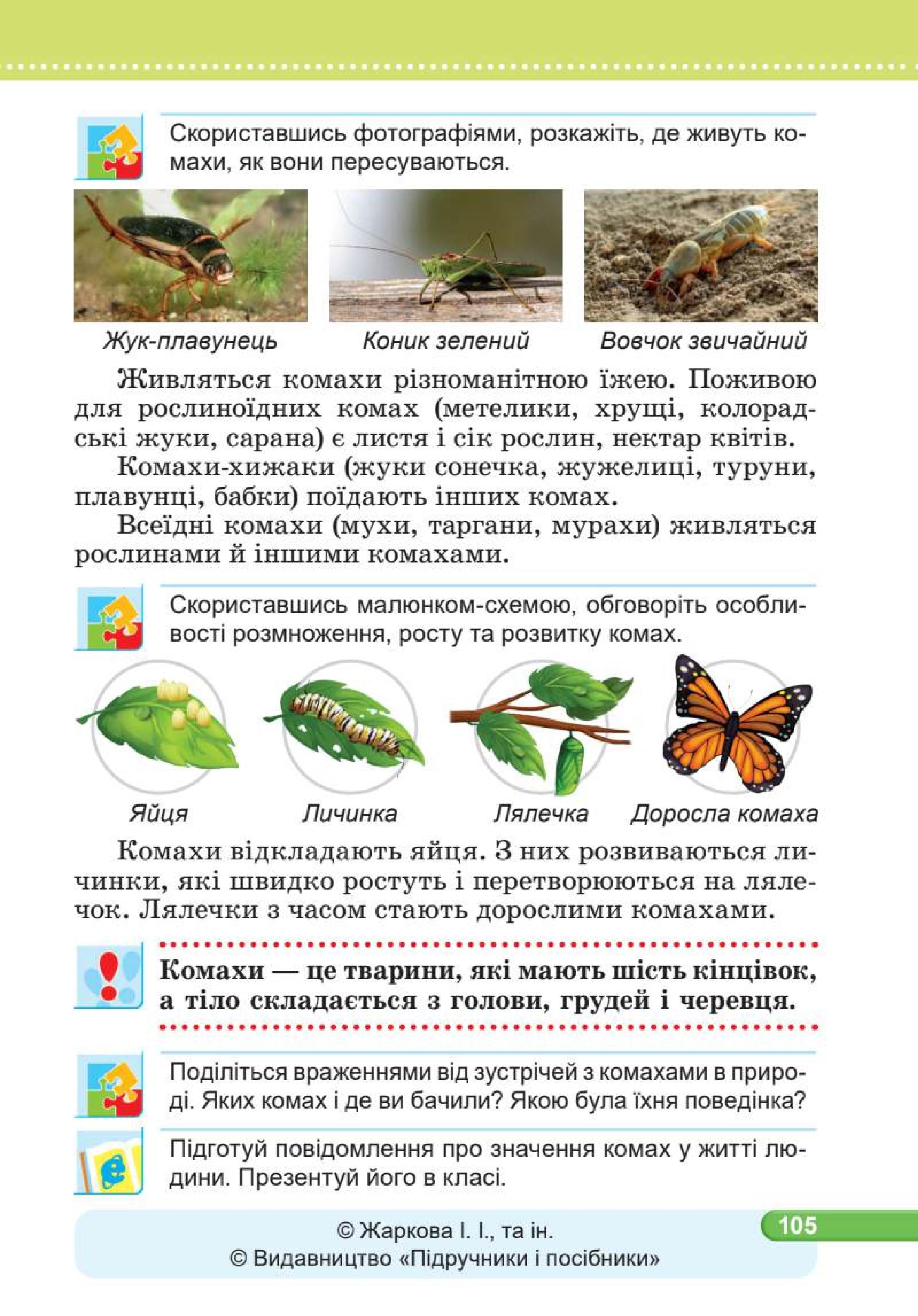 Мініатюра 105