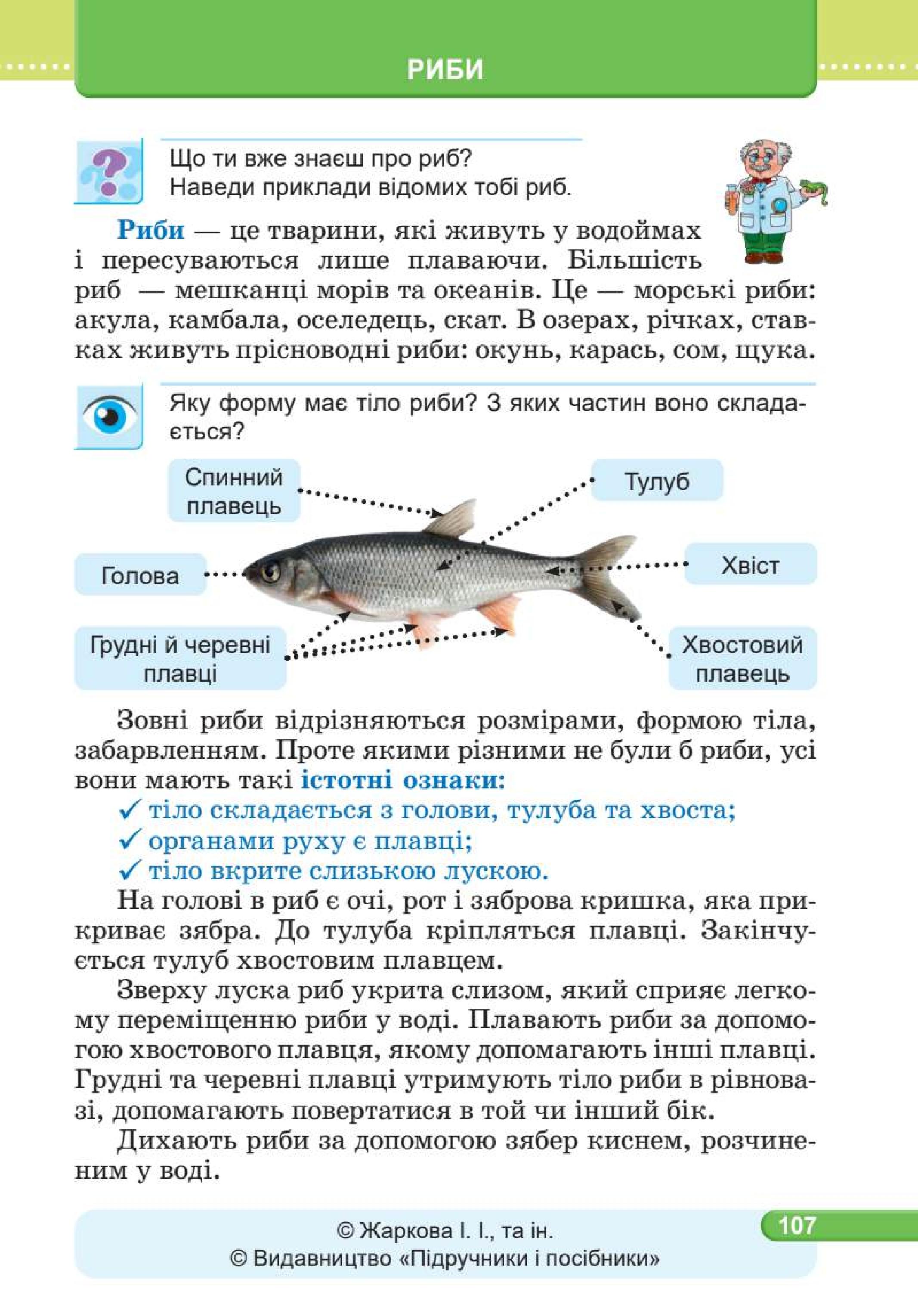 Мініатюра 107