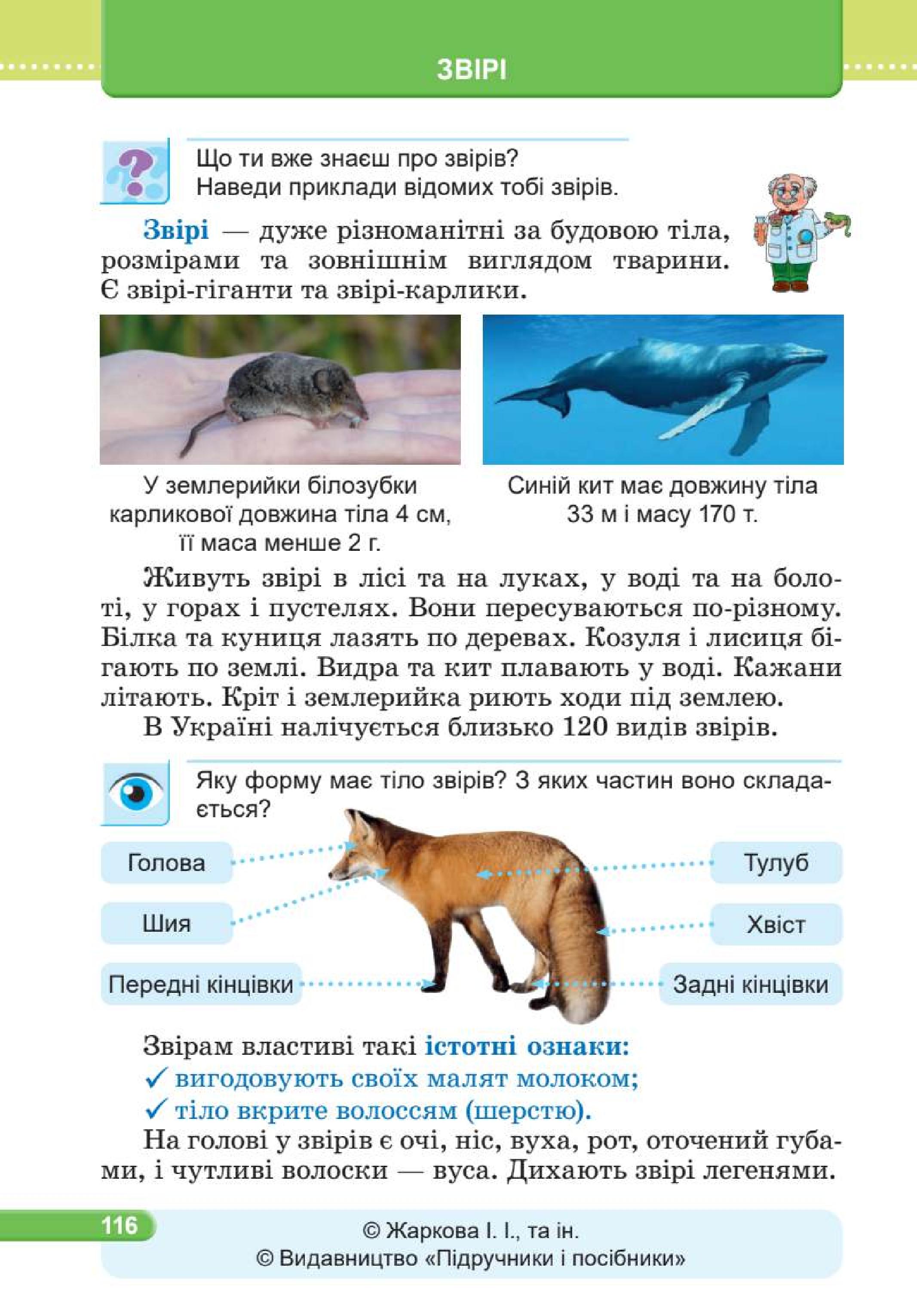Мініатюра 116