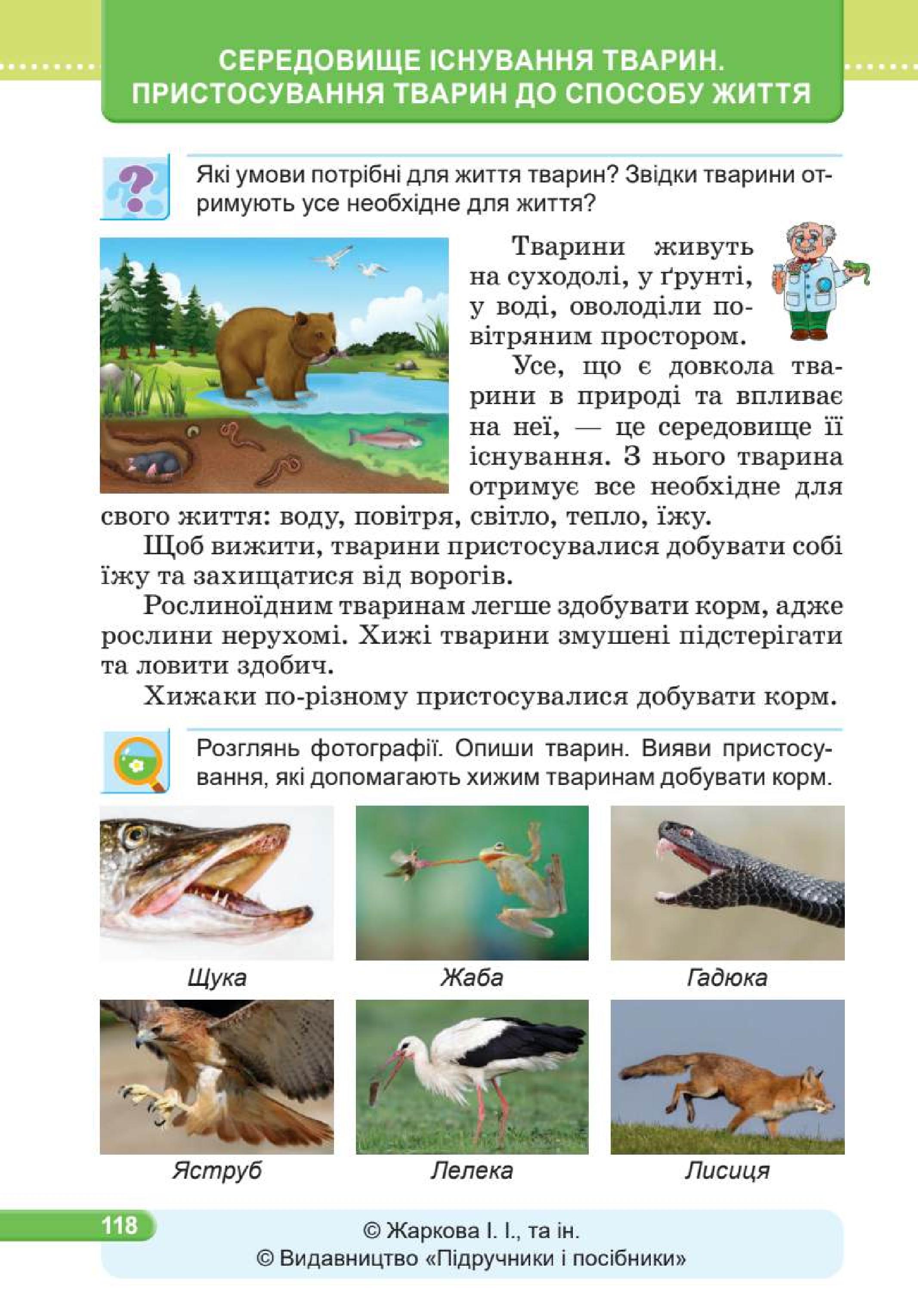 Мініатюра 118