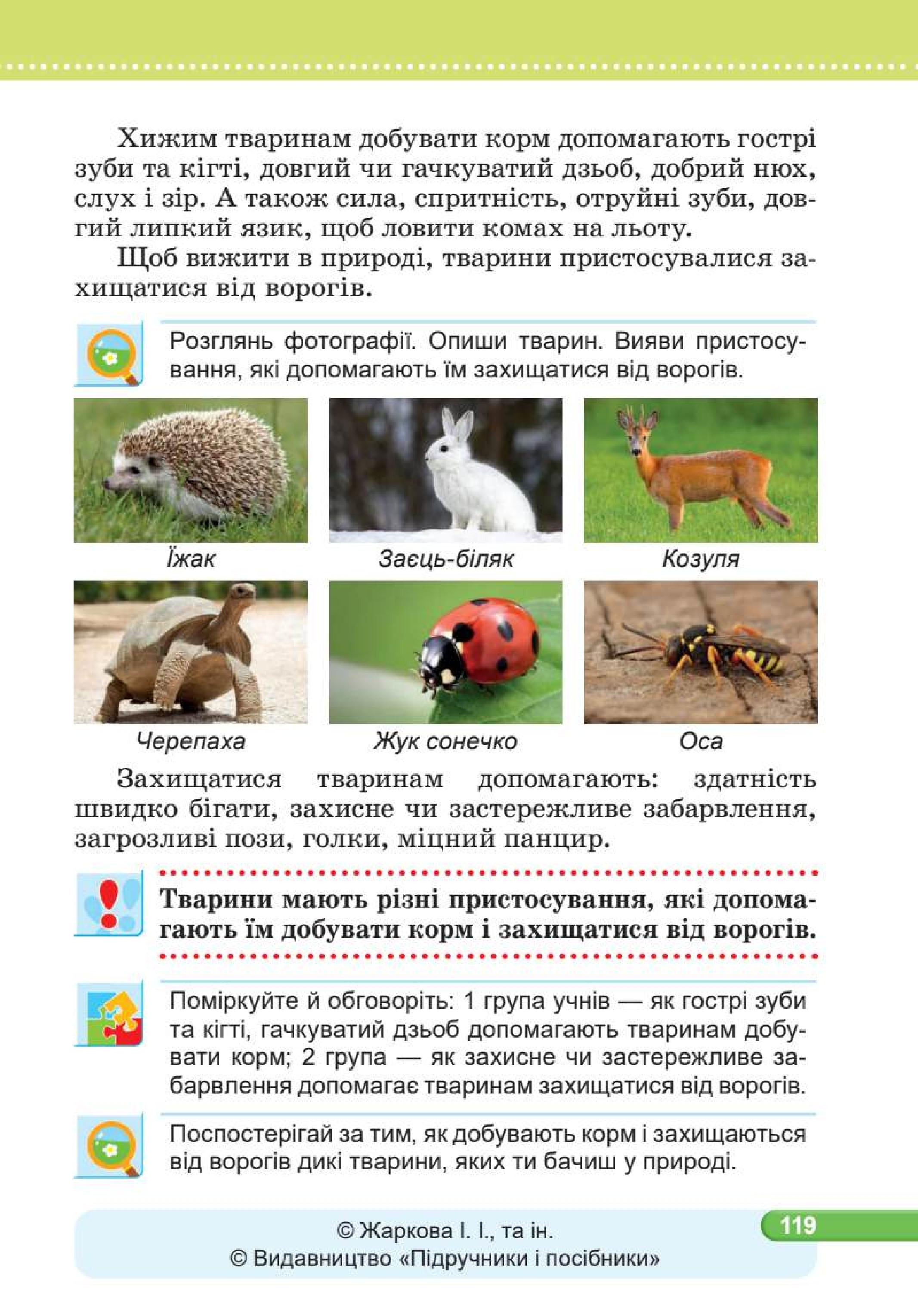Мініатюра 119