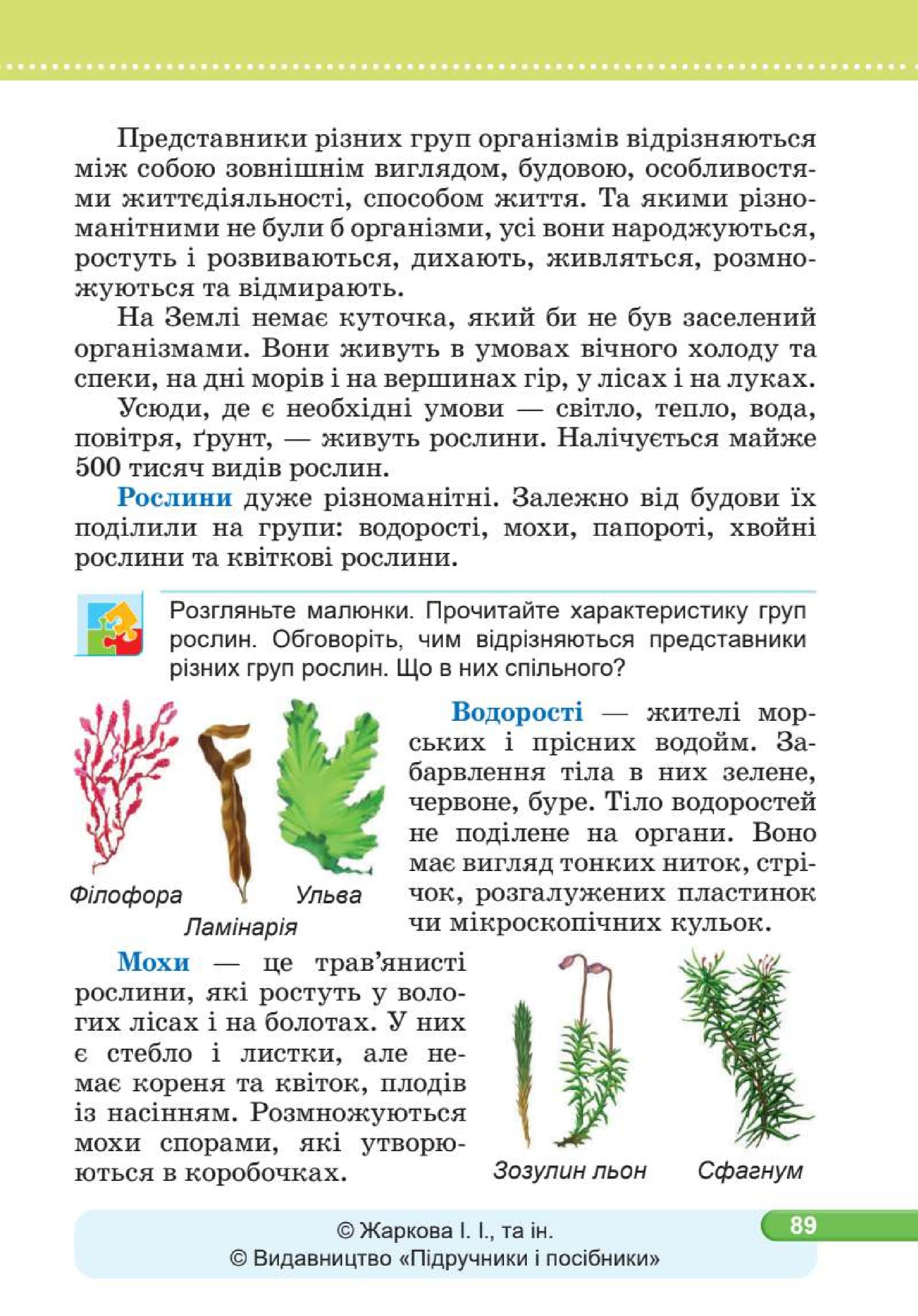 Мініатюра 89