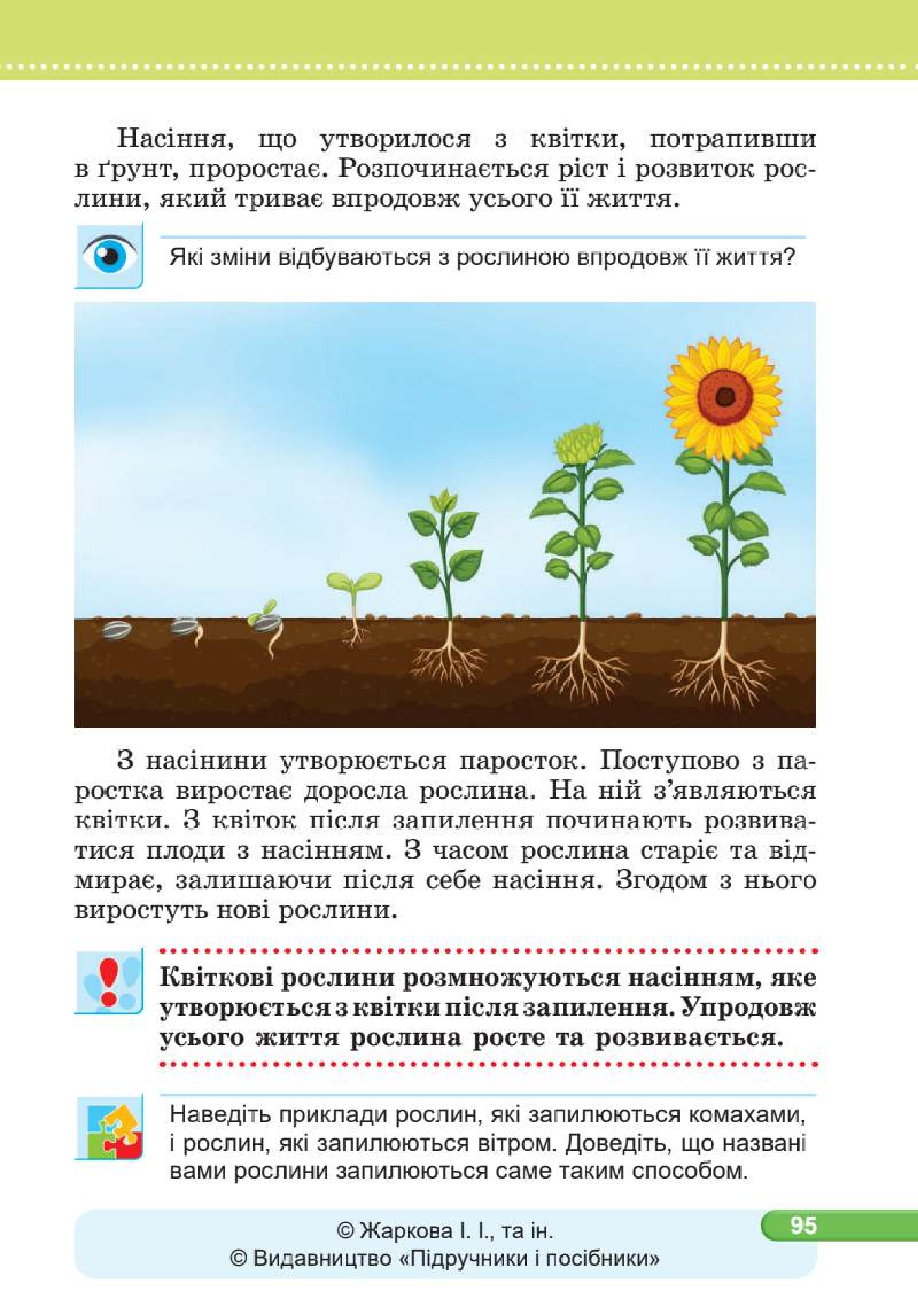 Мініатюра 95