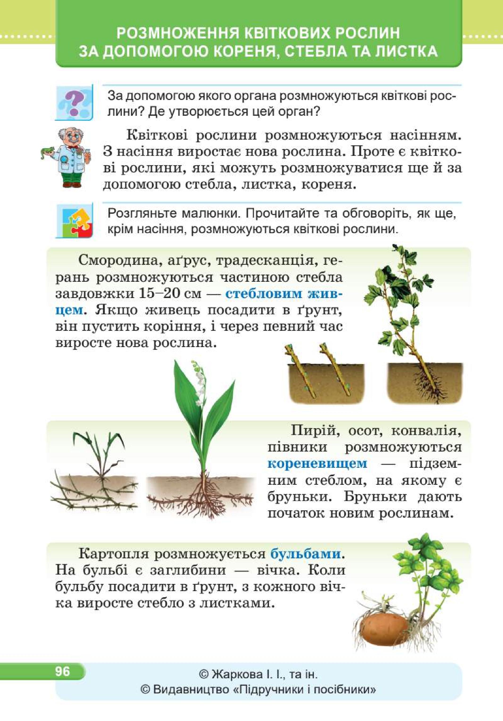 Мініатюра 96