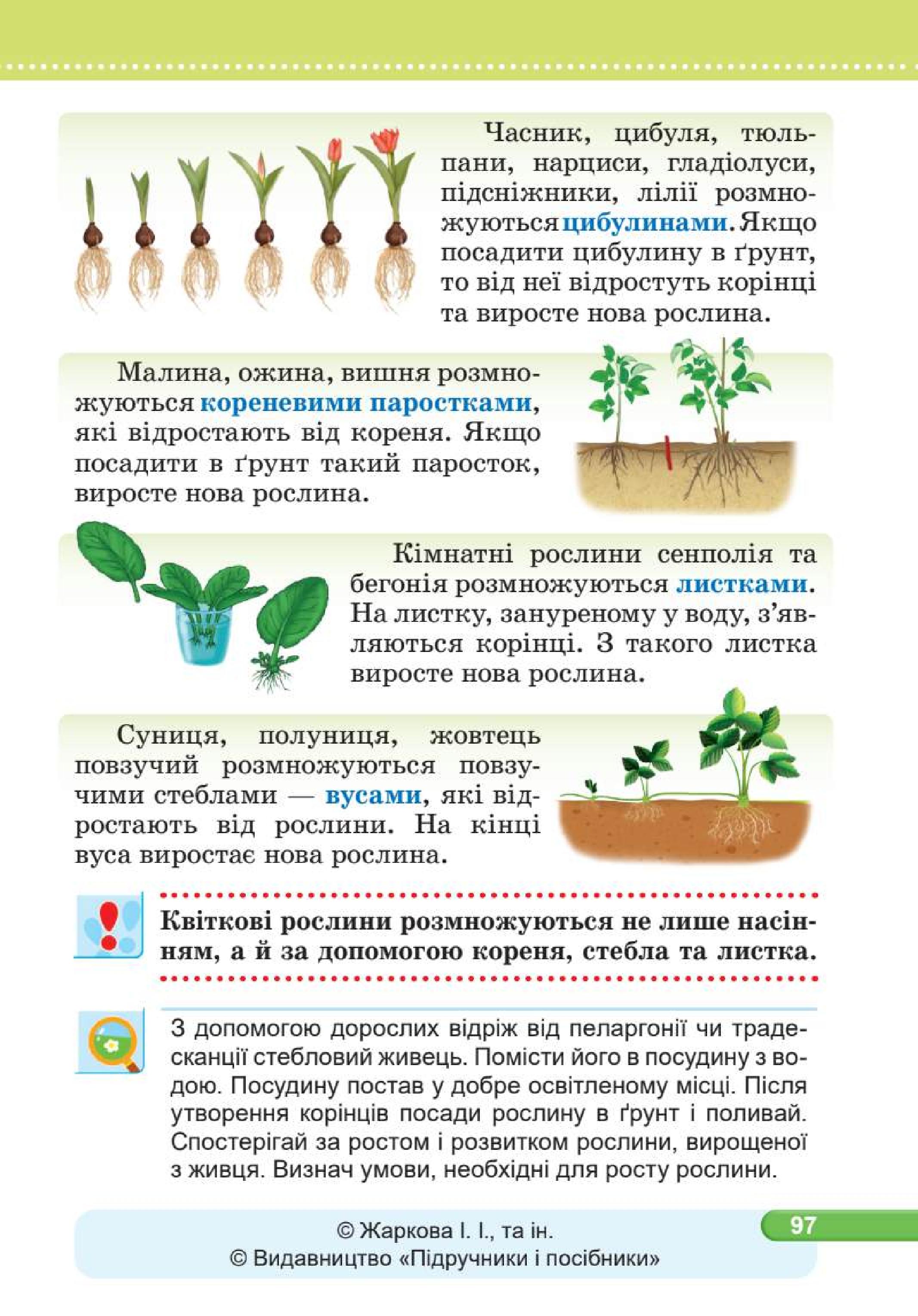 Мініатюра 97