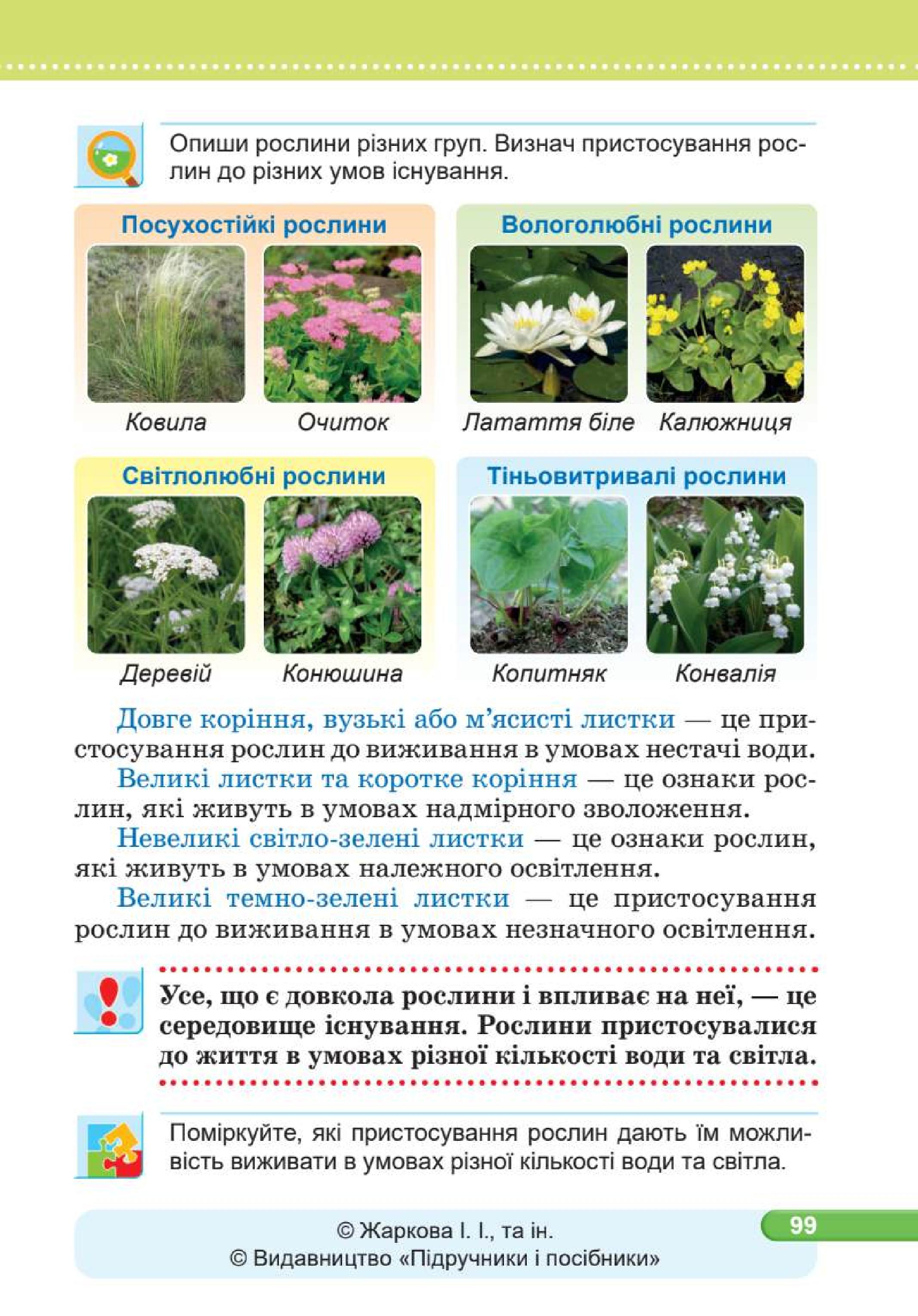 Мініатюра 99