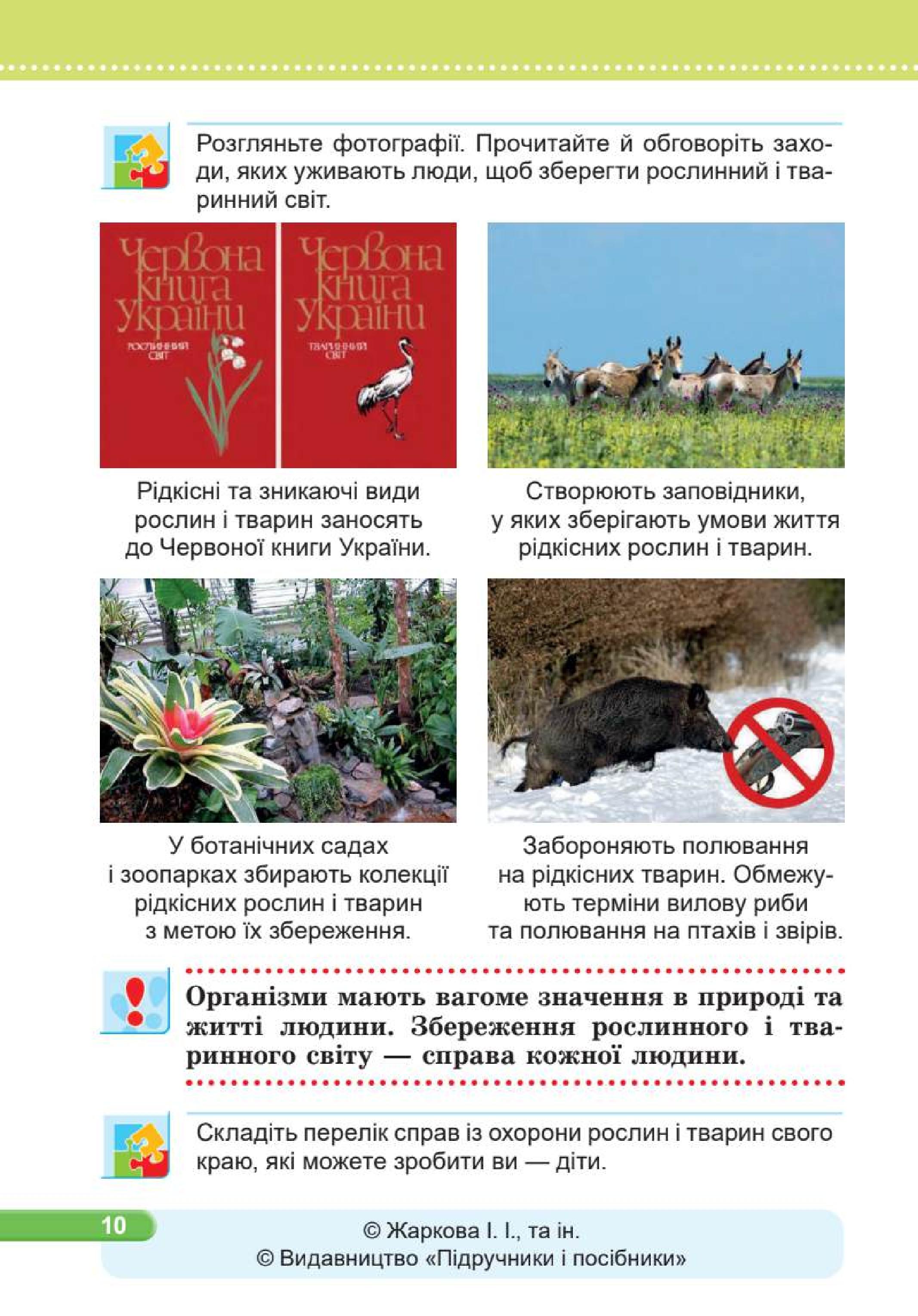 Мініатюра 10