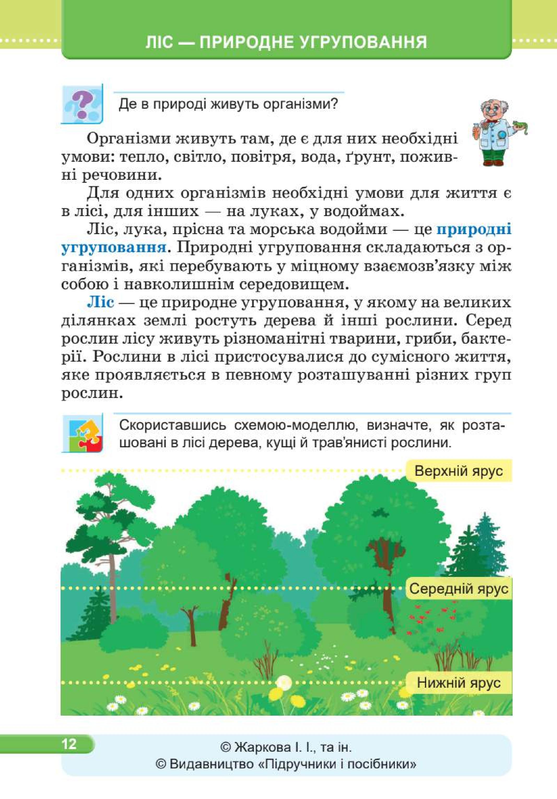 Мініатюра 12