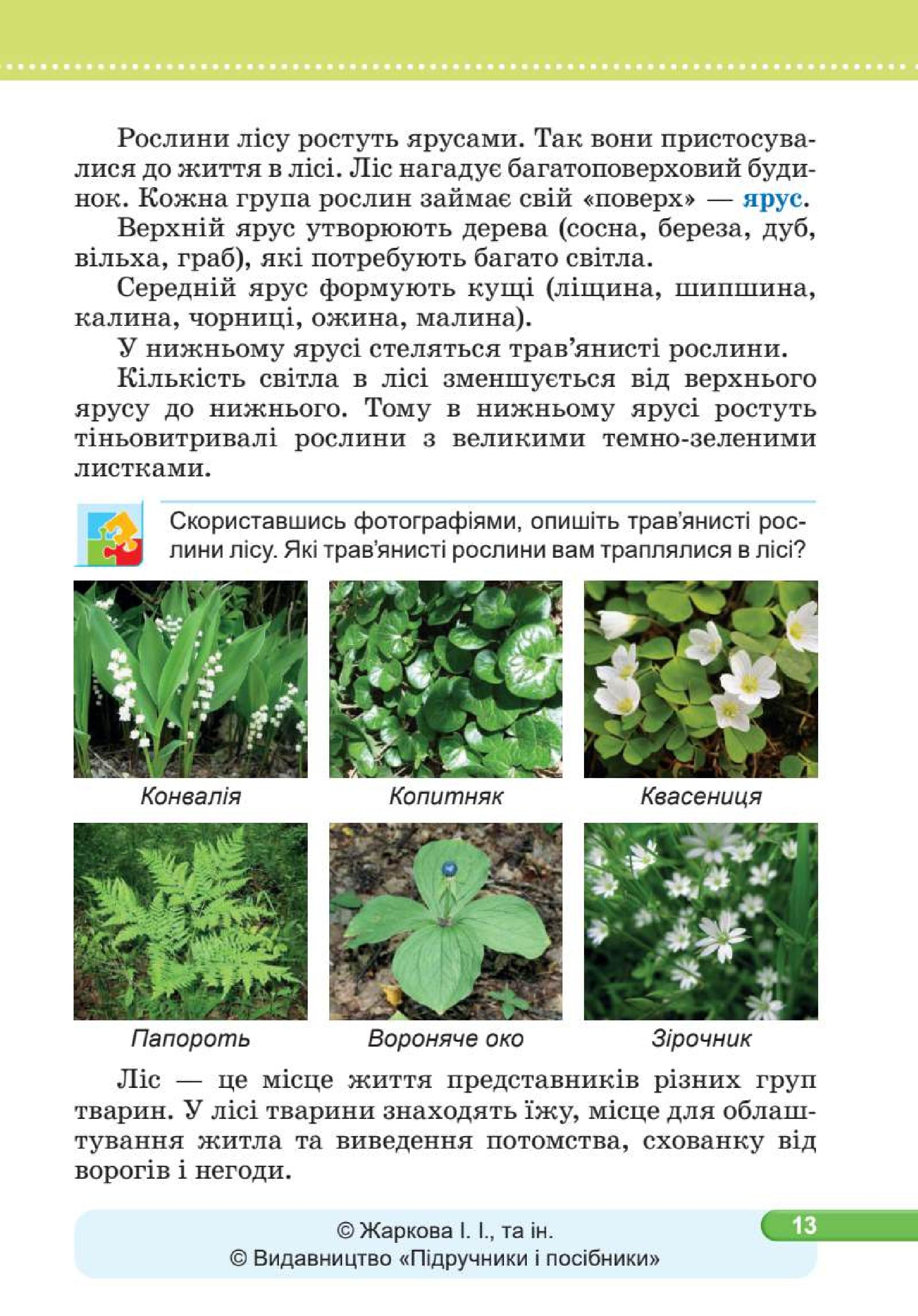 Мініатюра 13