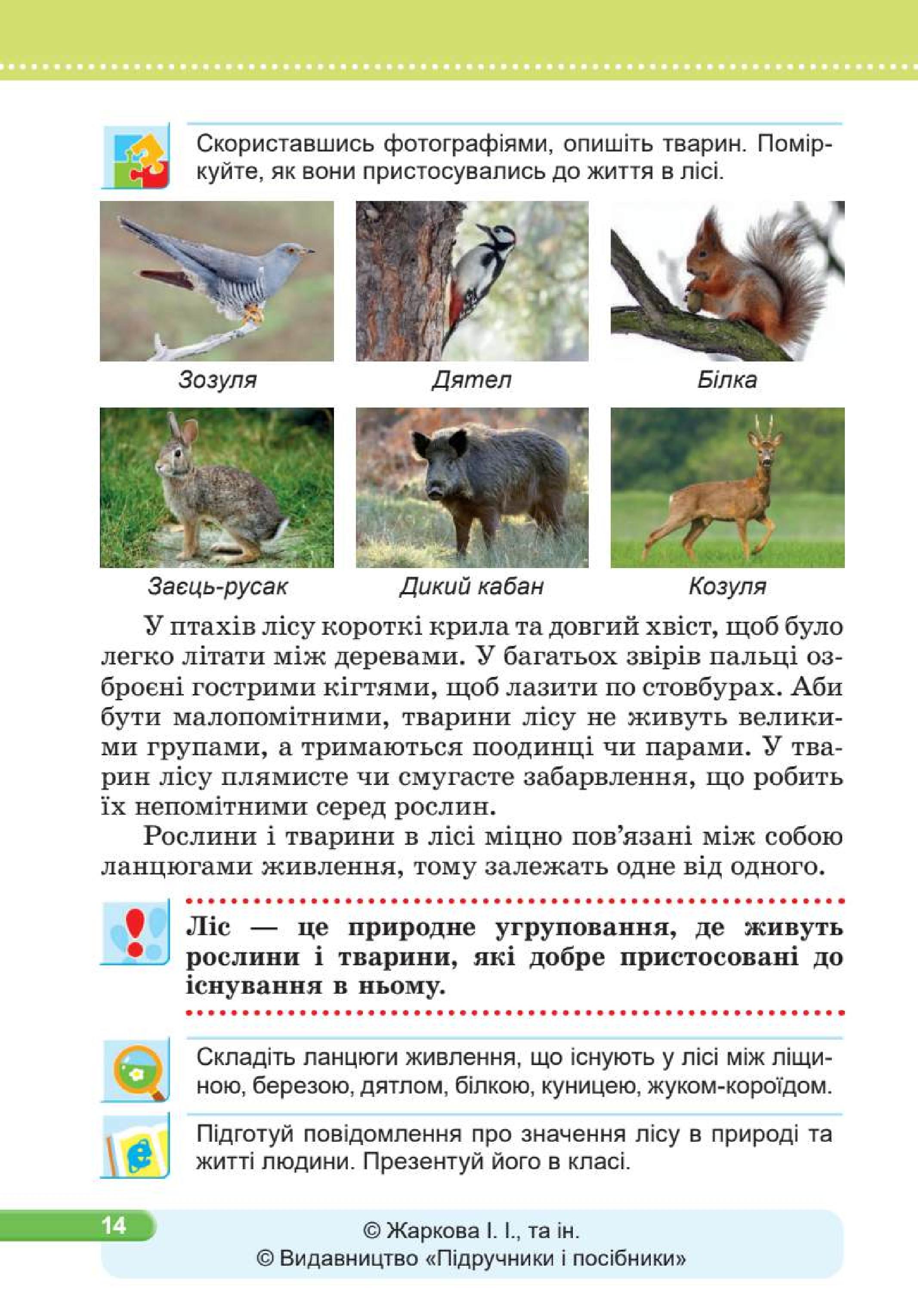 Мініатюра 14