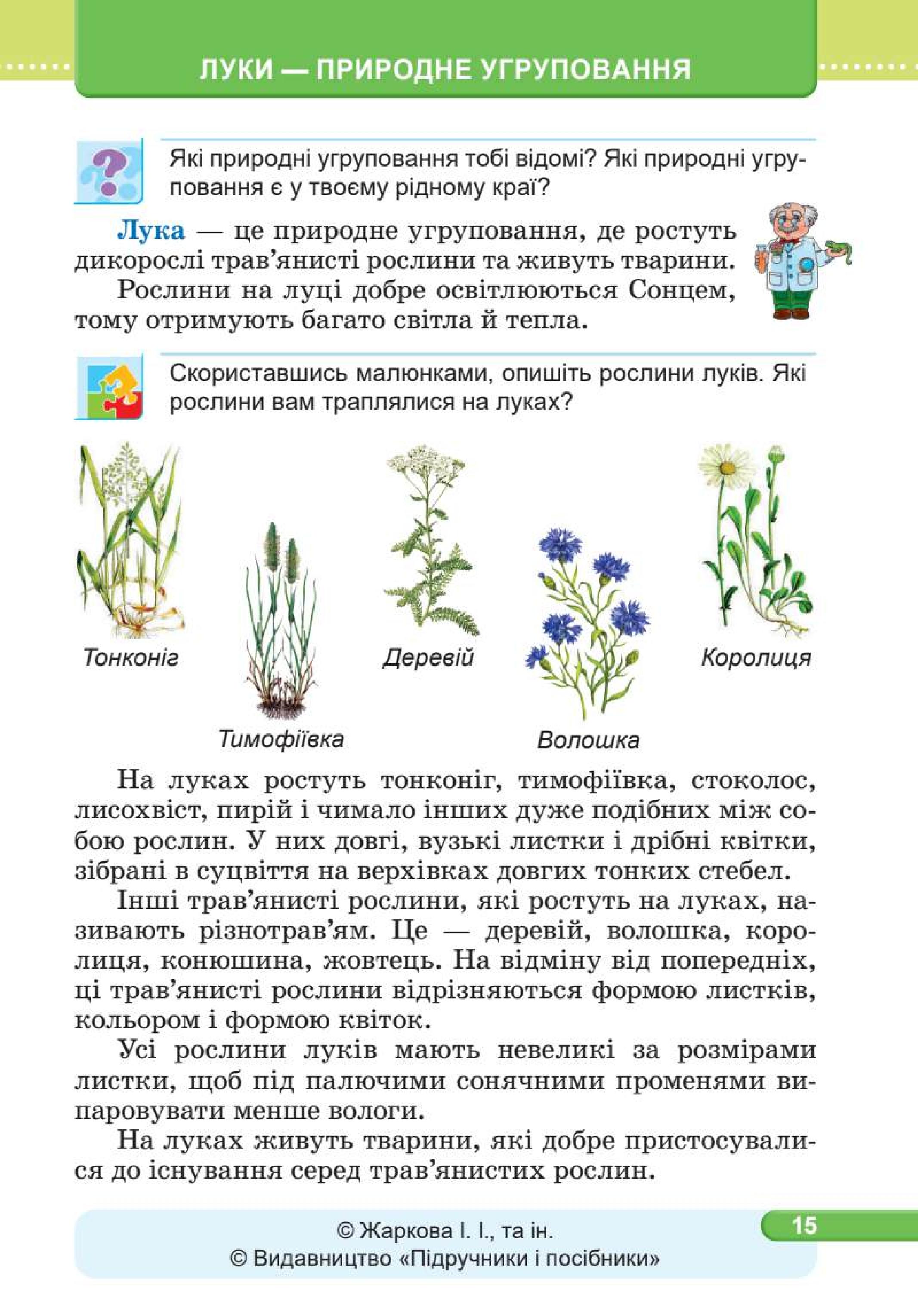 Мініатюра 15