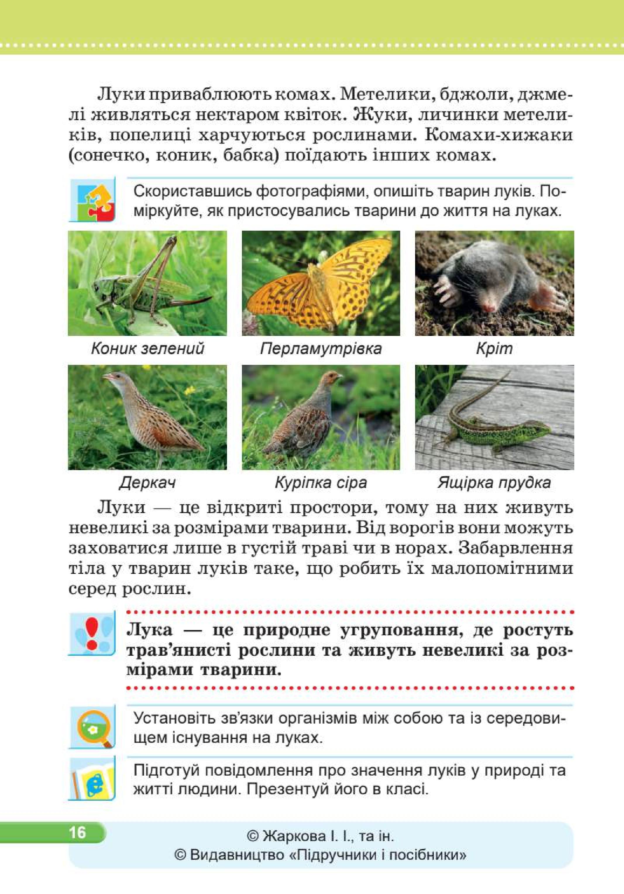 Мініатюра 16