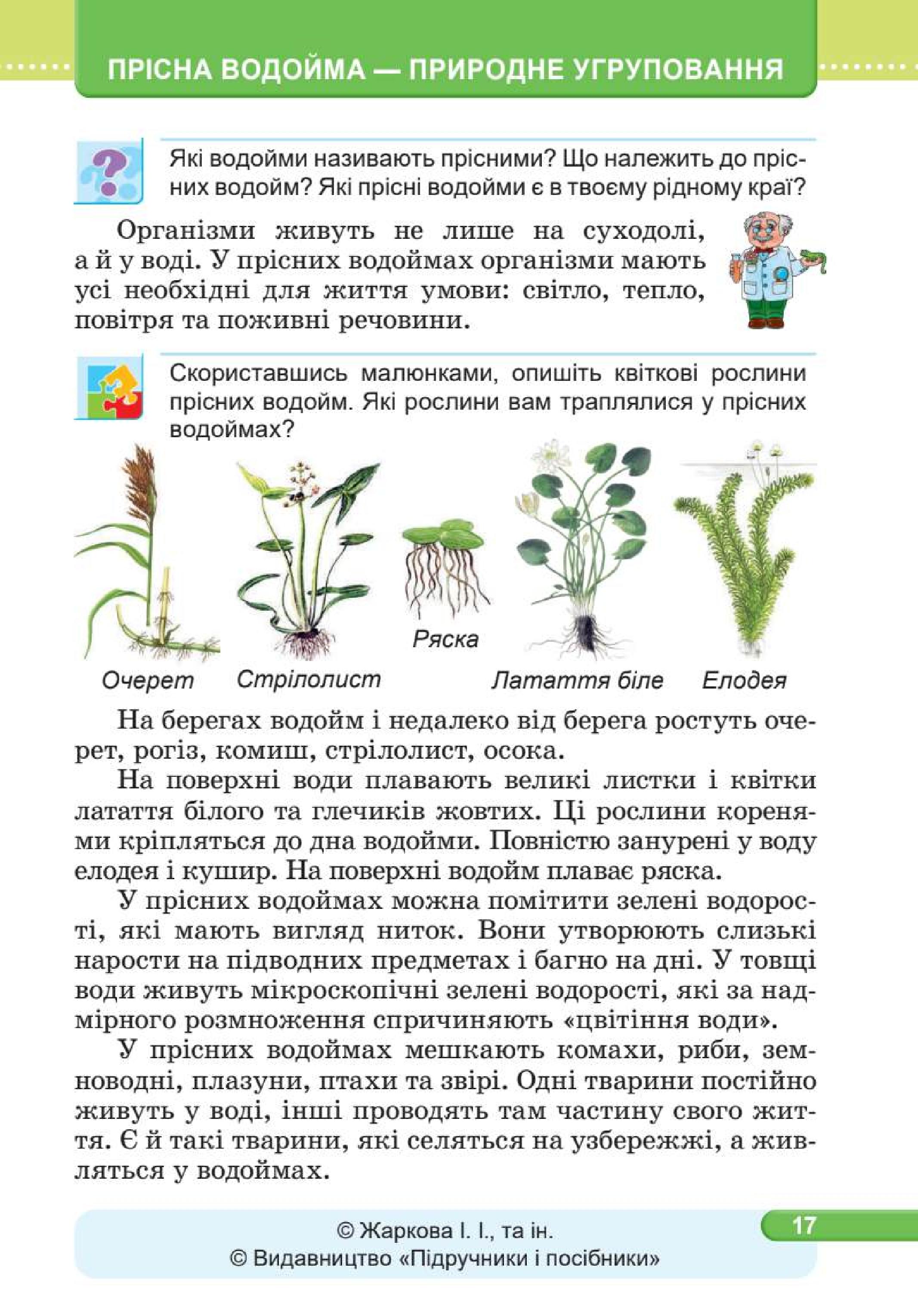 Мініатюра 17