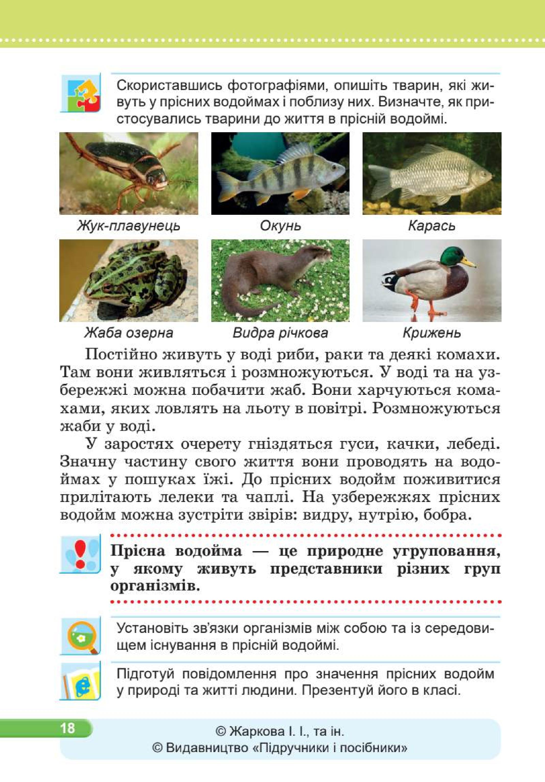 Мініатюра 18