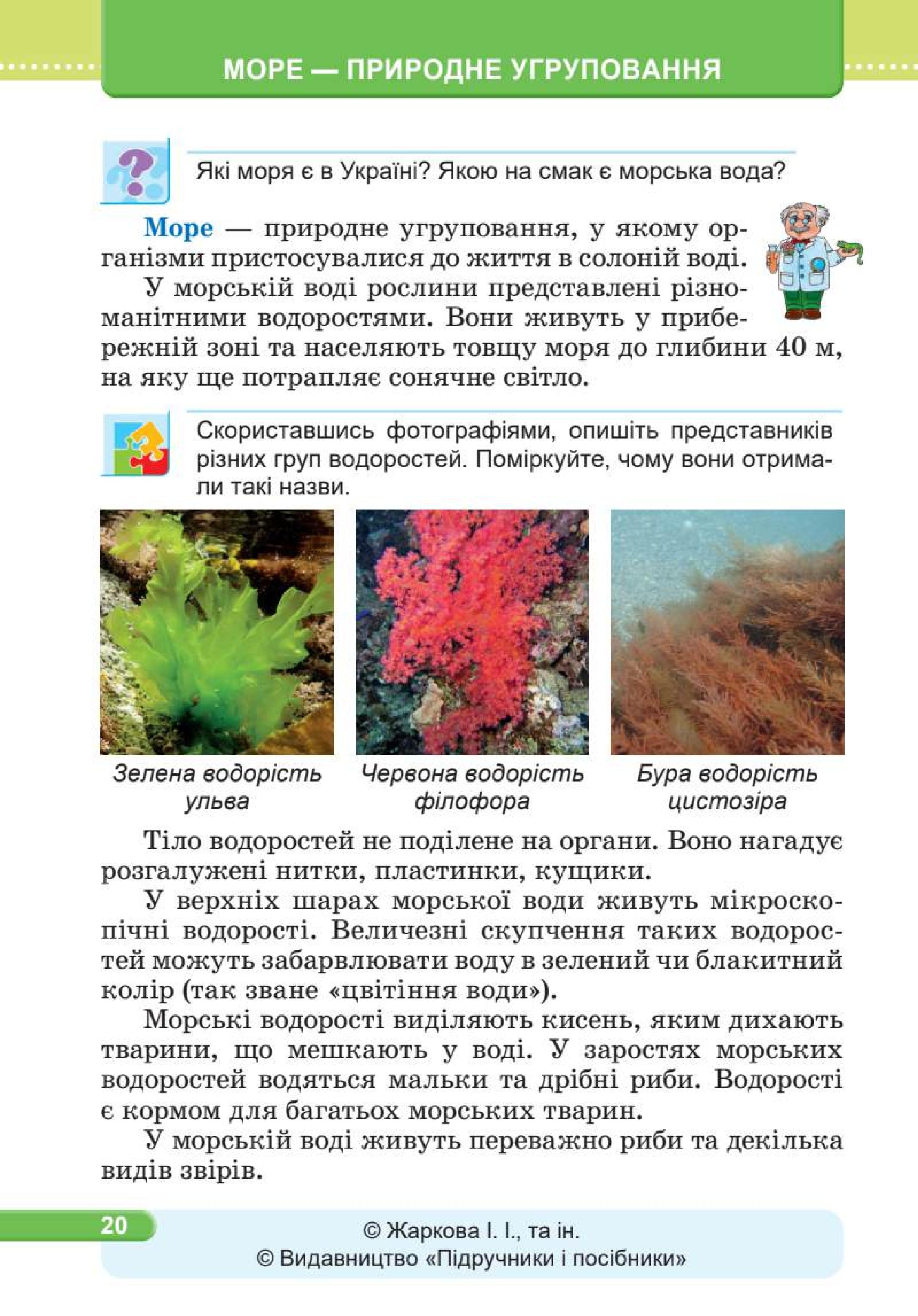 Мініатюра 20