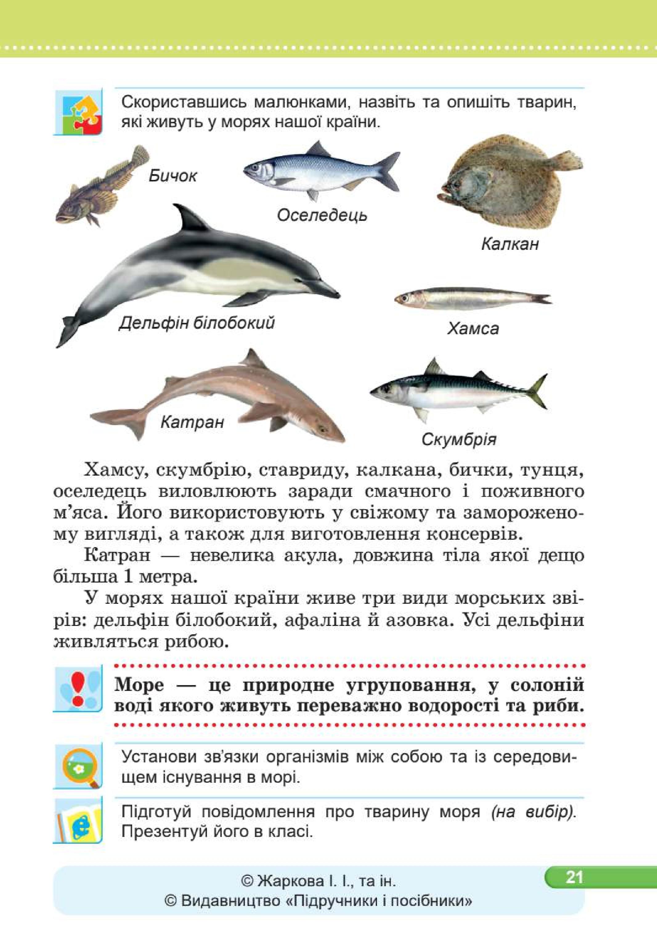 Мініатюра 21