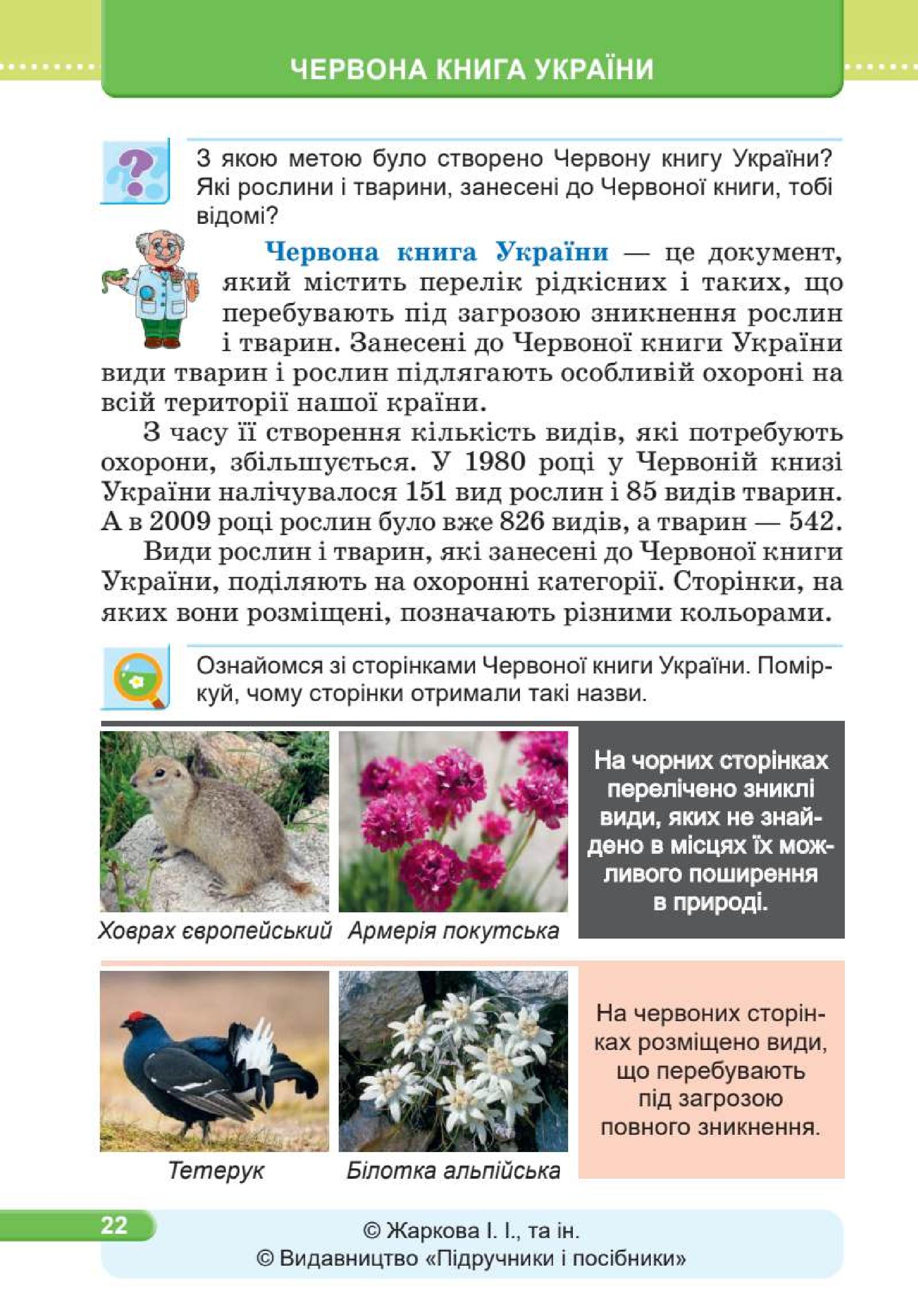 Мініатюра 22