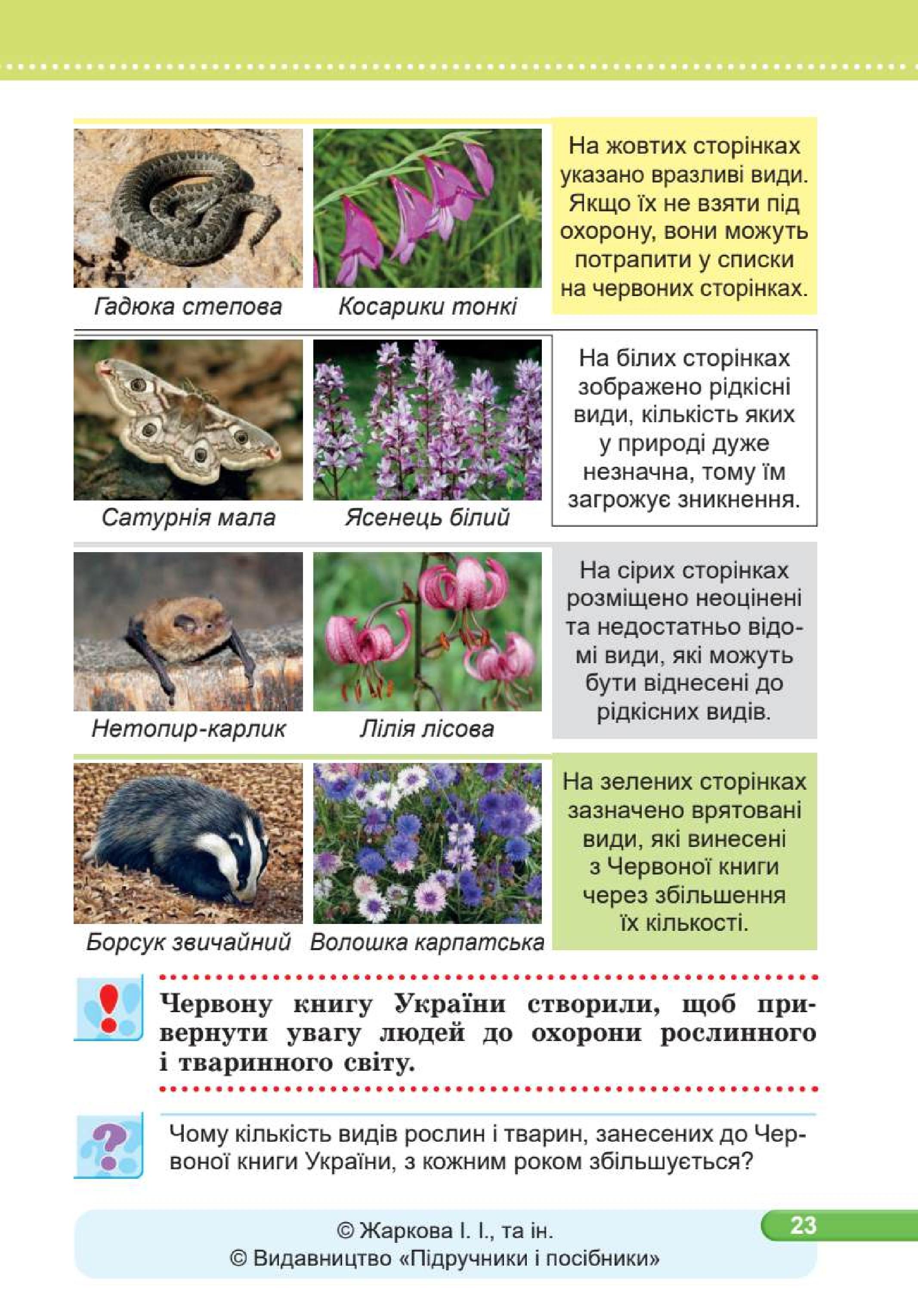 Мініатюра 23