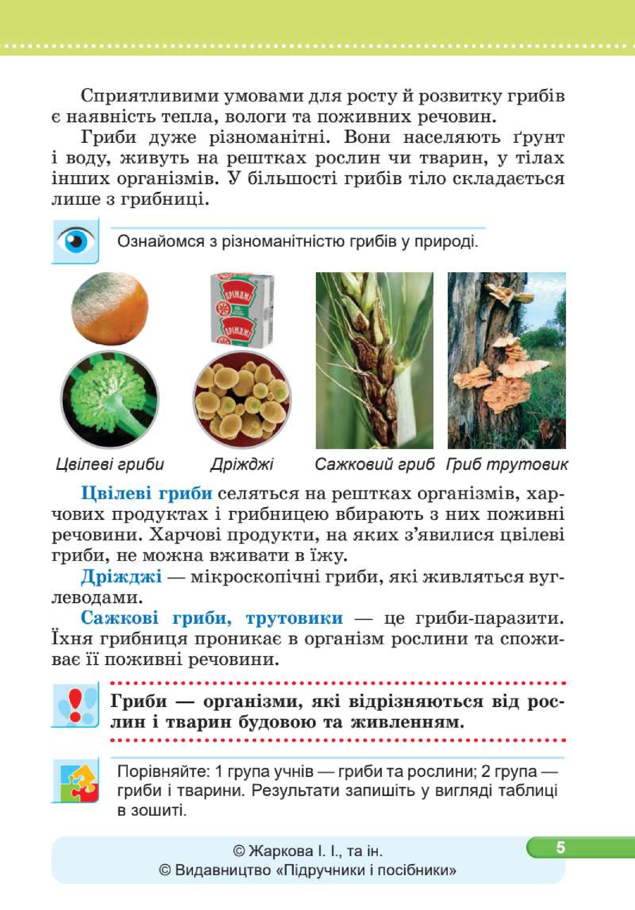 Мініатюра 5