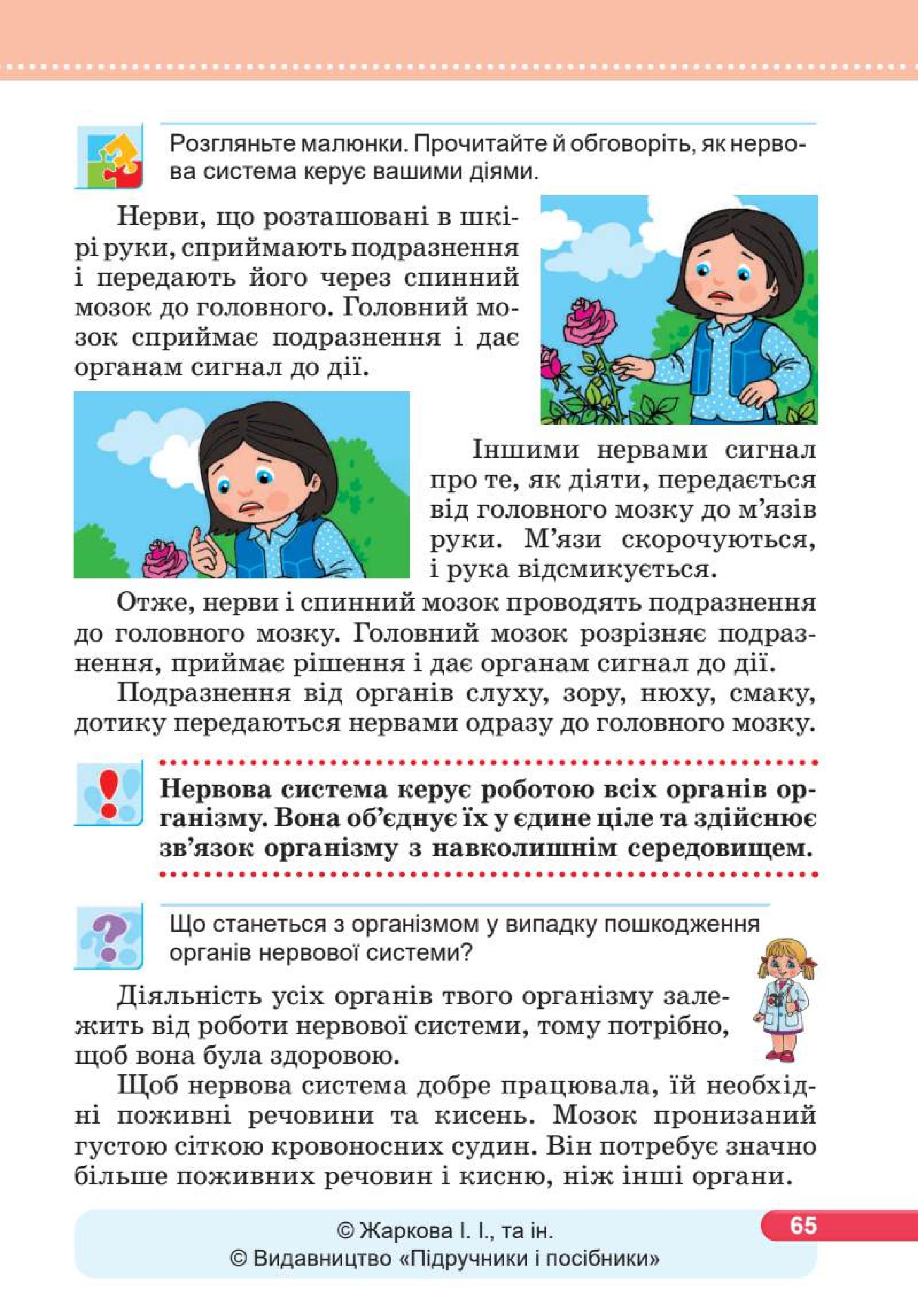 Мініатюра 65