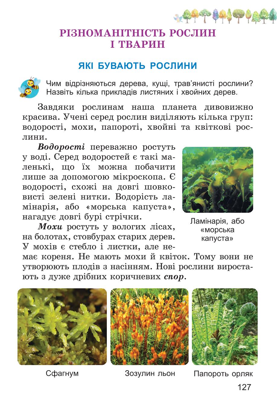 Мініатюра 127