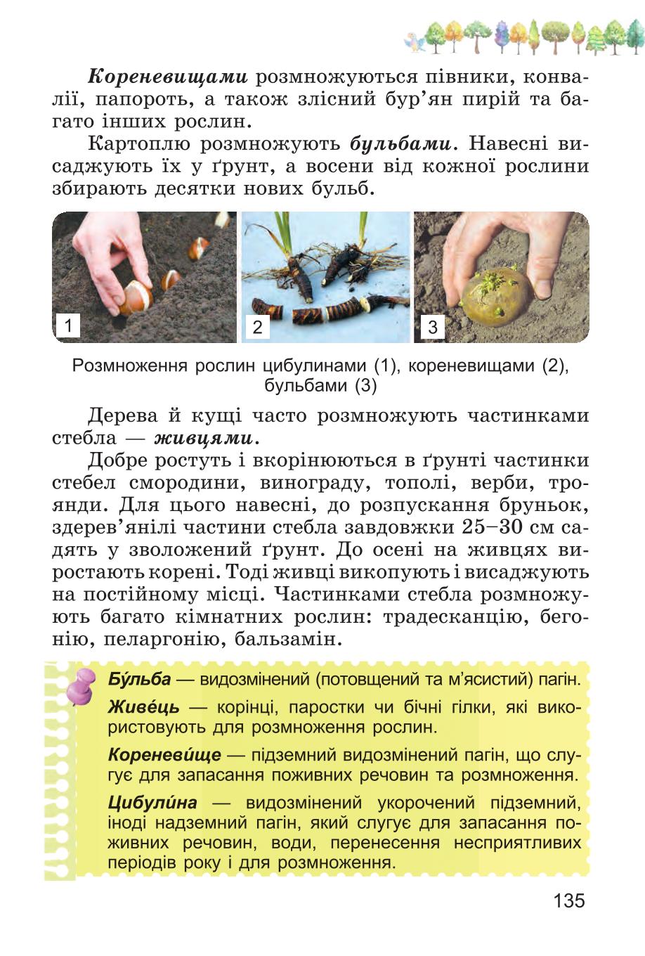 Мініатюра 135