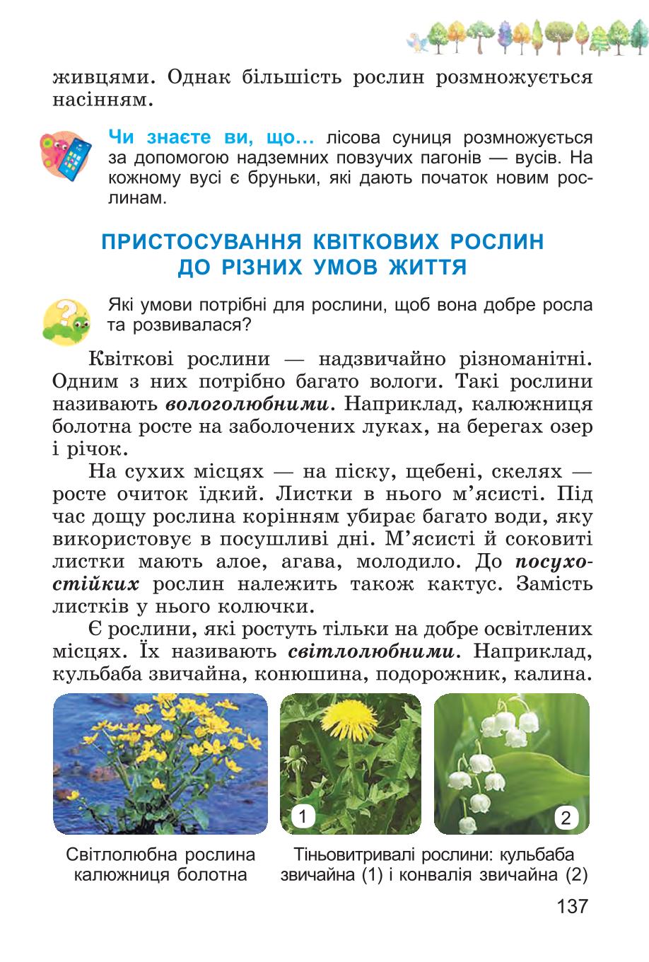 Мініатюра 137
