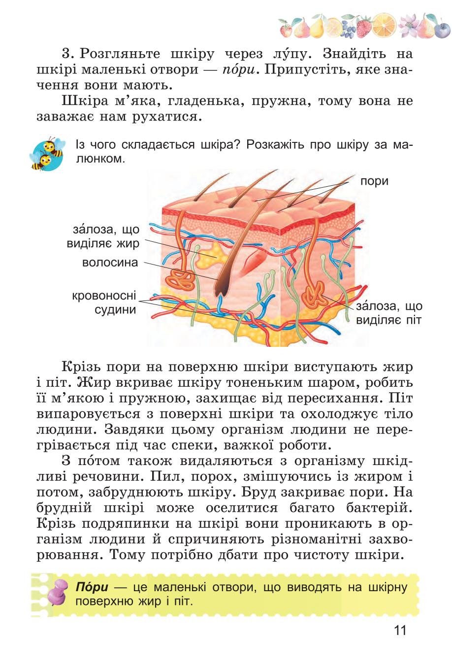 Мініатюра 11