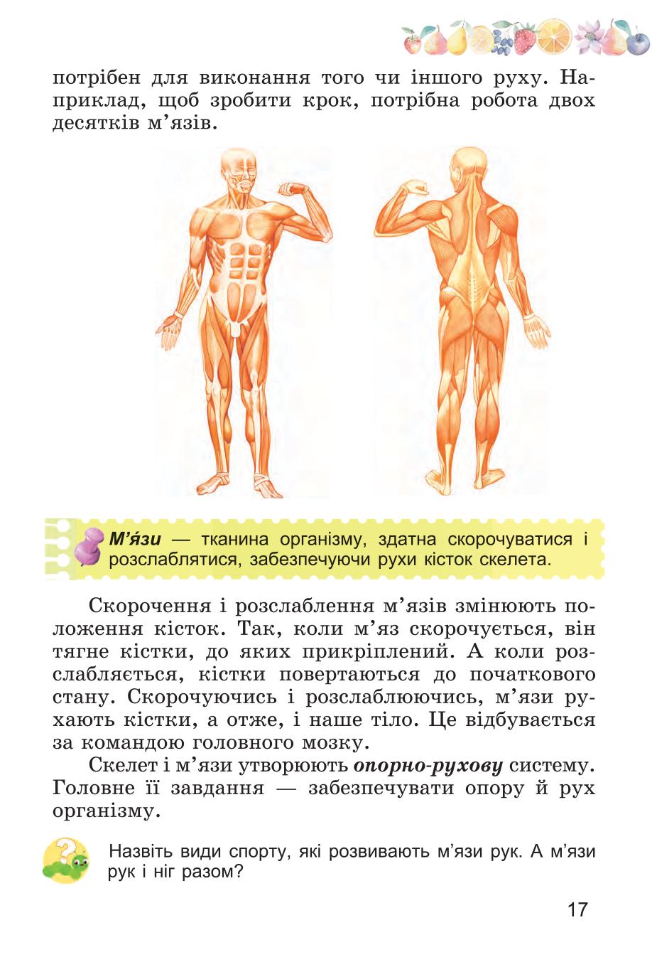 Мініатюра 17