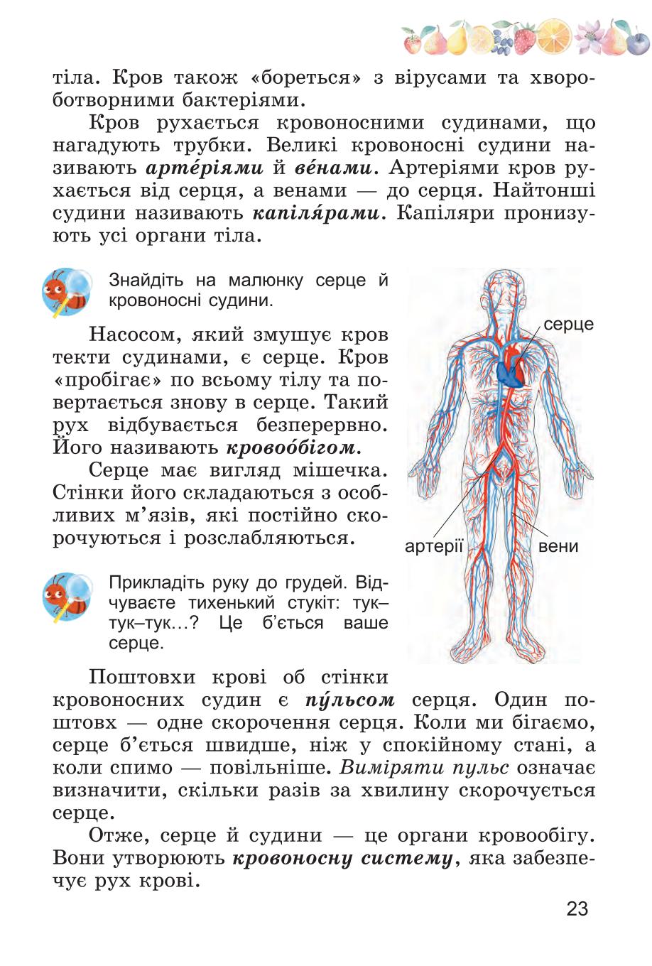 Мініатюра 23