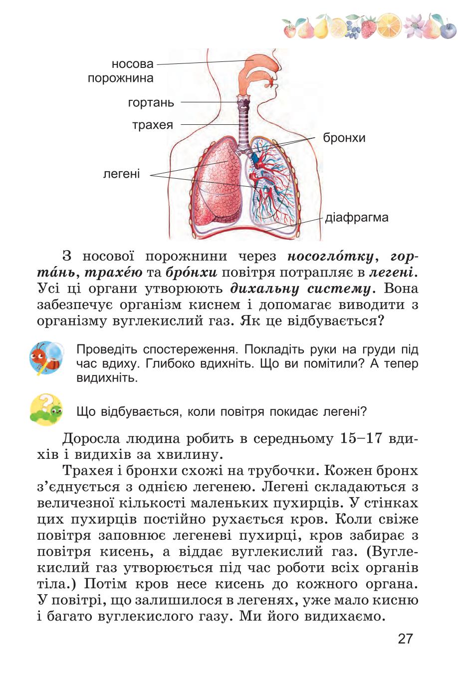Мініатюра 27