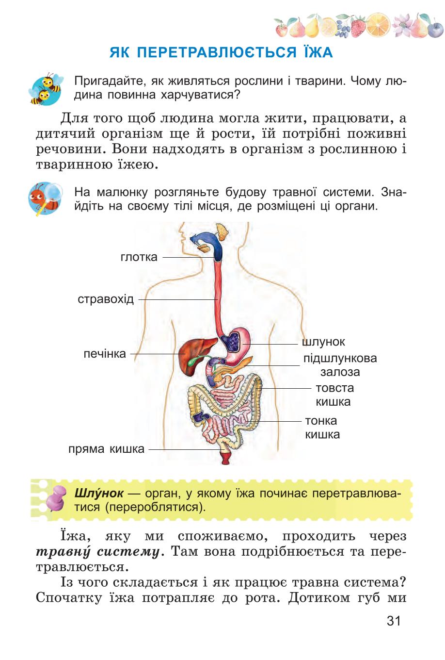 Мініатюра 31