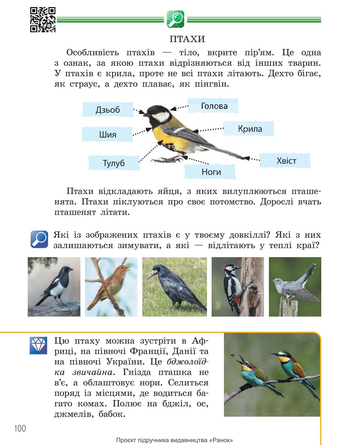 Мініатюра 100