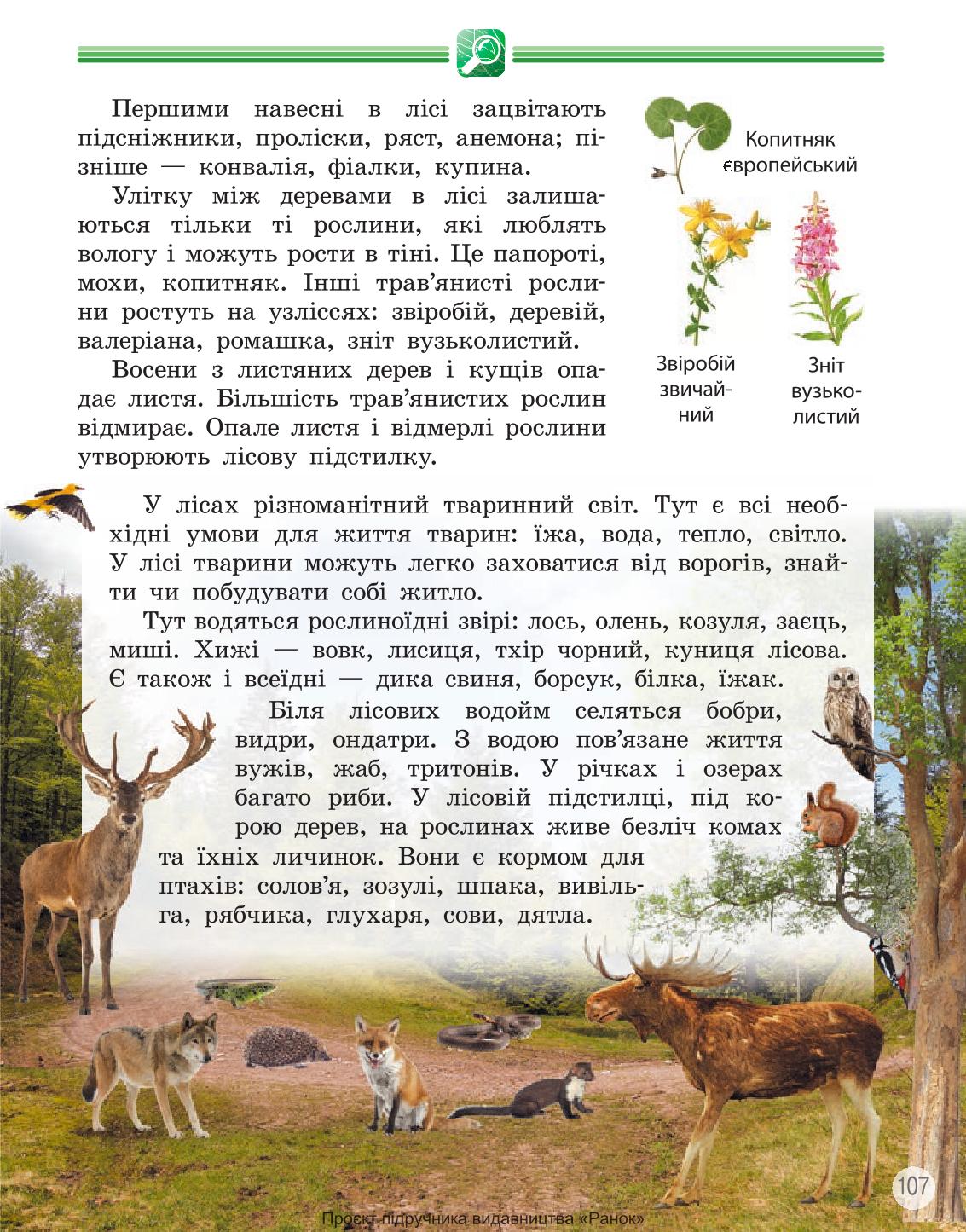 Мініатюра 107