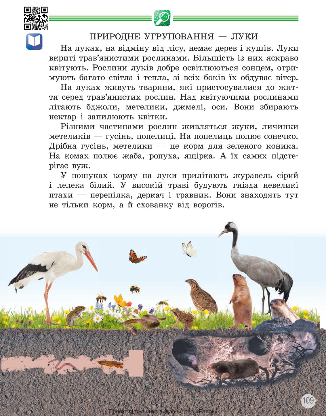 Мініатюра 109
