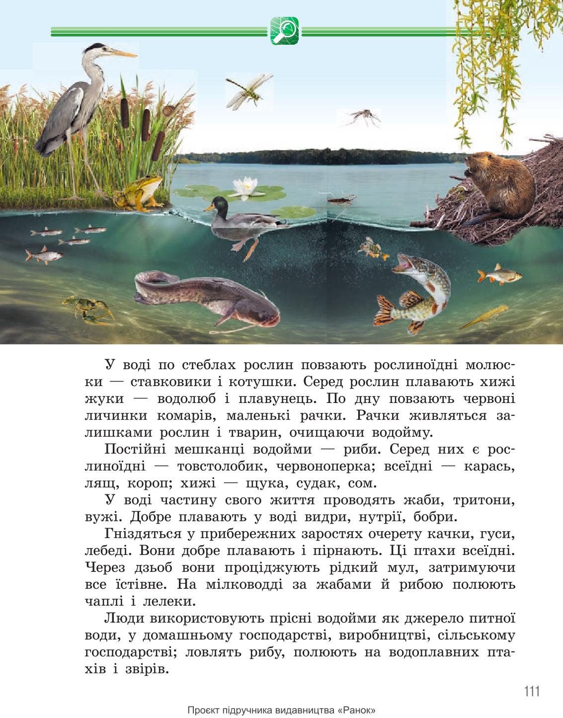 Мініатюра 111