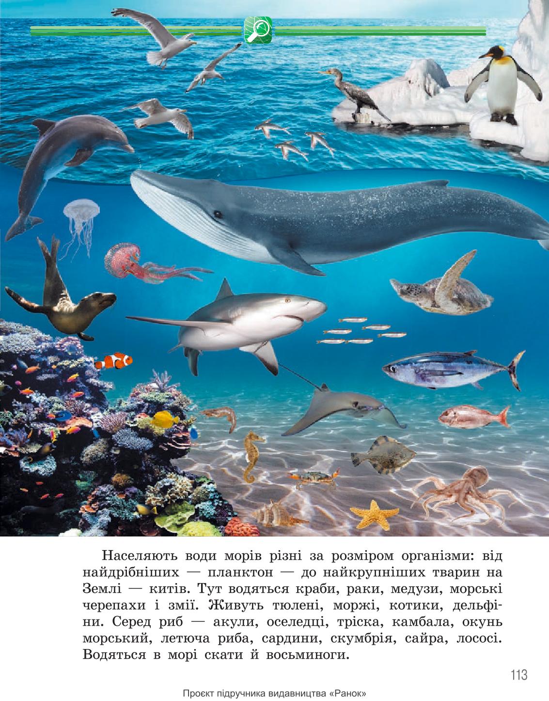 Мініатюра 113