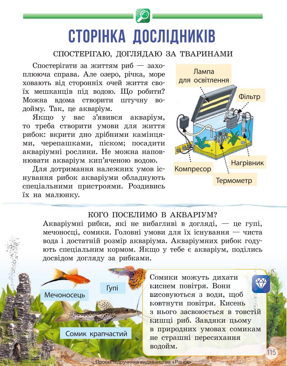 Мініатюра 115