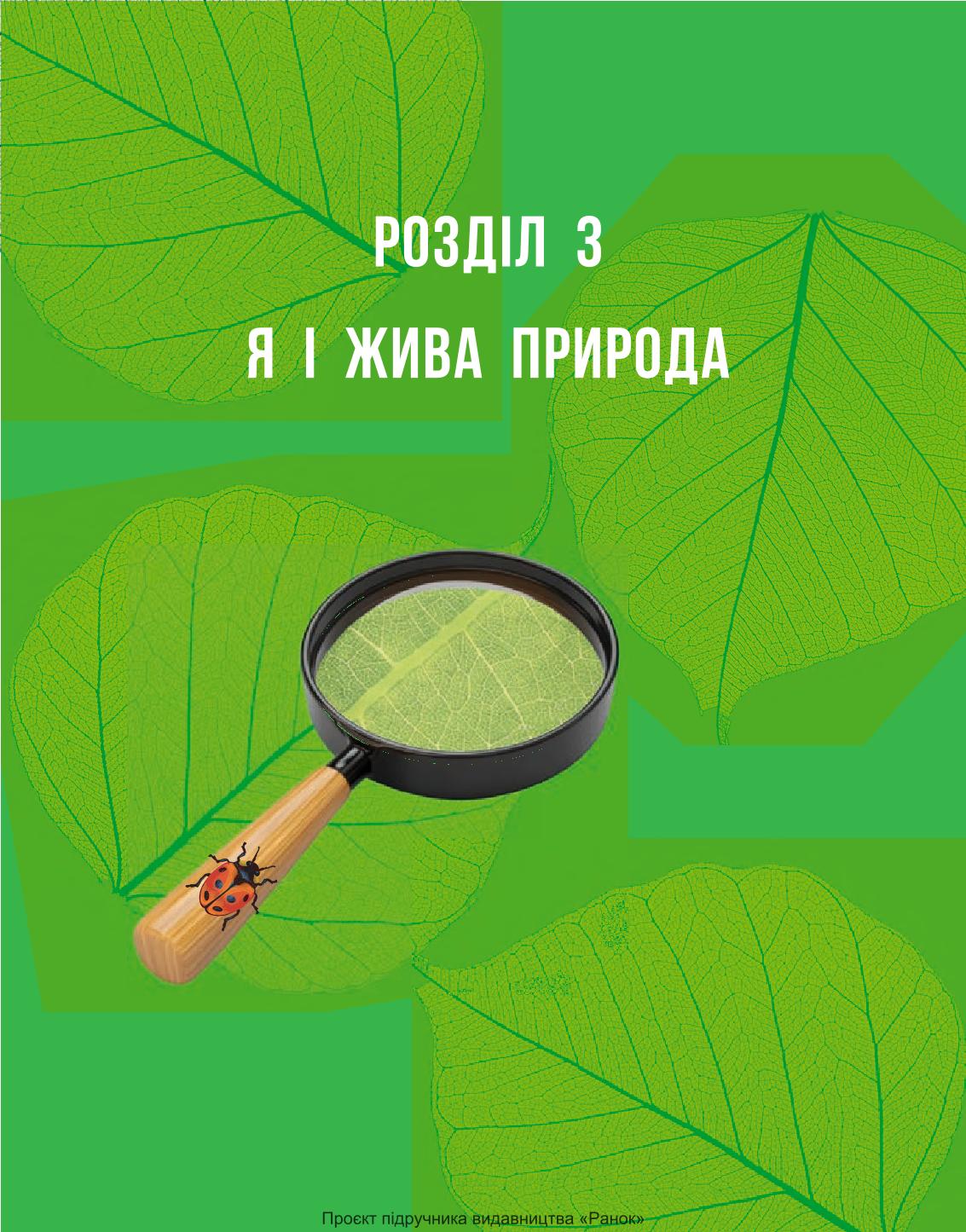 Мініатюра 79